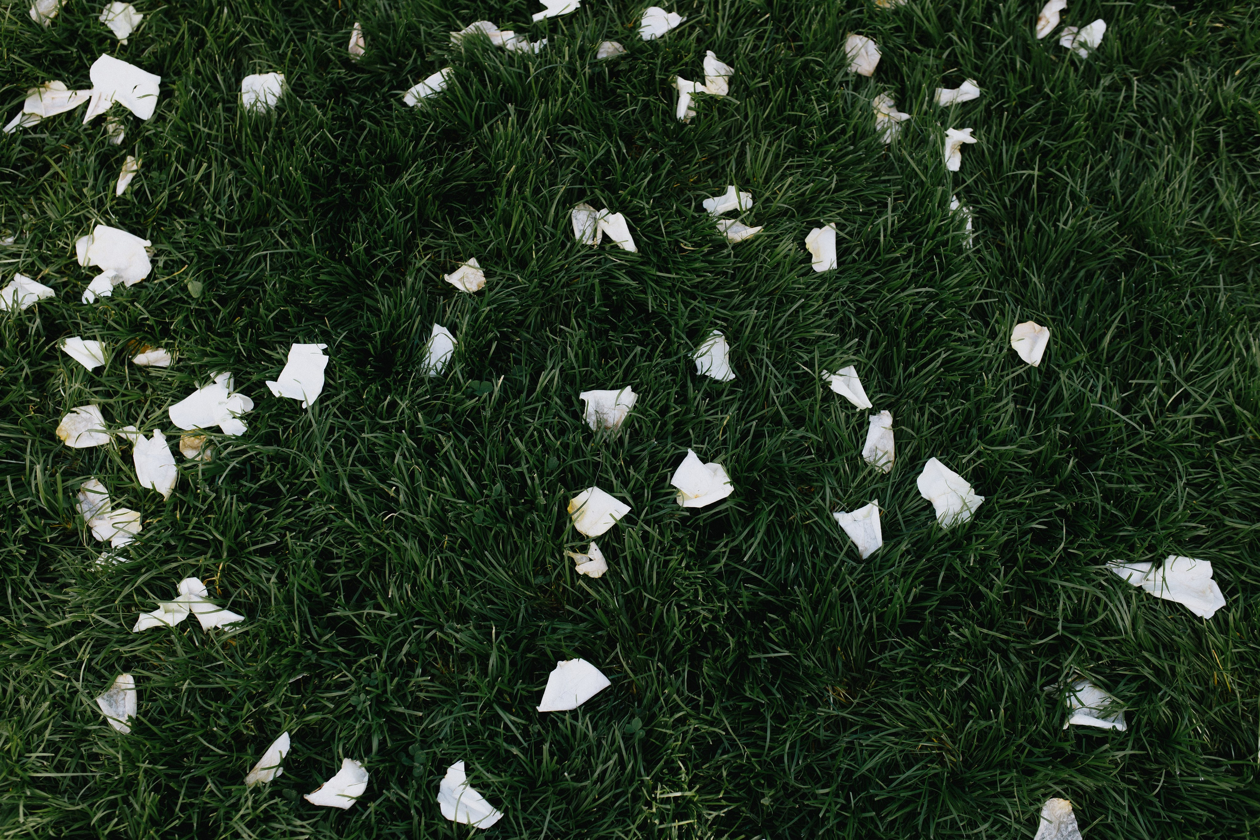 Алексей и Алена. Фотограф Иркутск Антипин Сергей