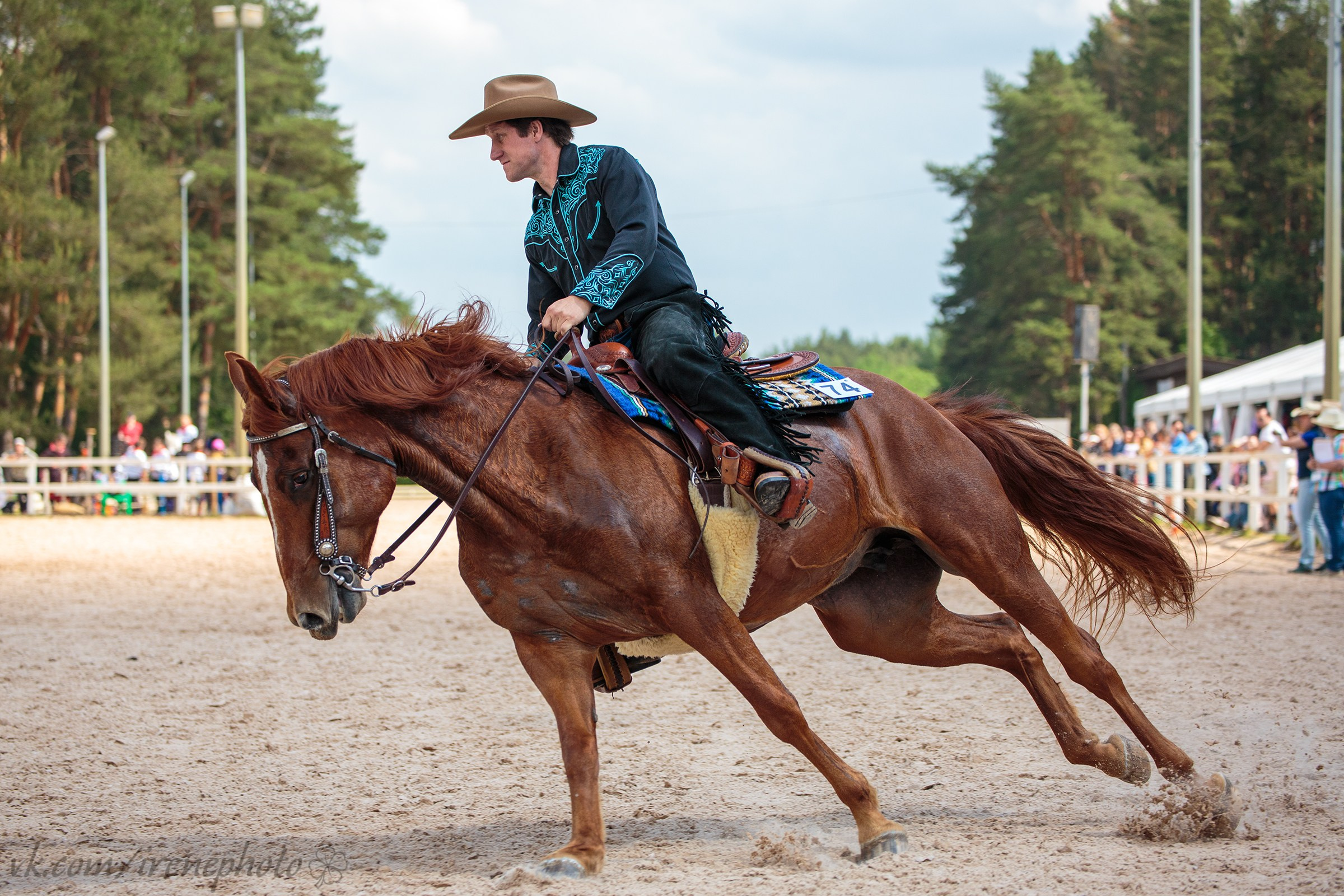 Иппосфера 2024. Irenephoto.ru