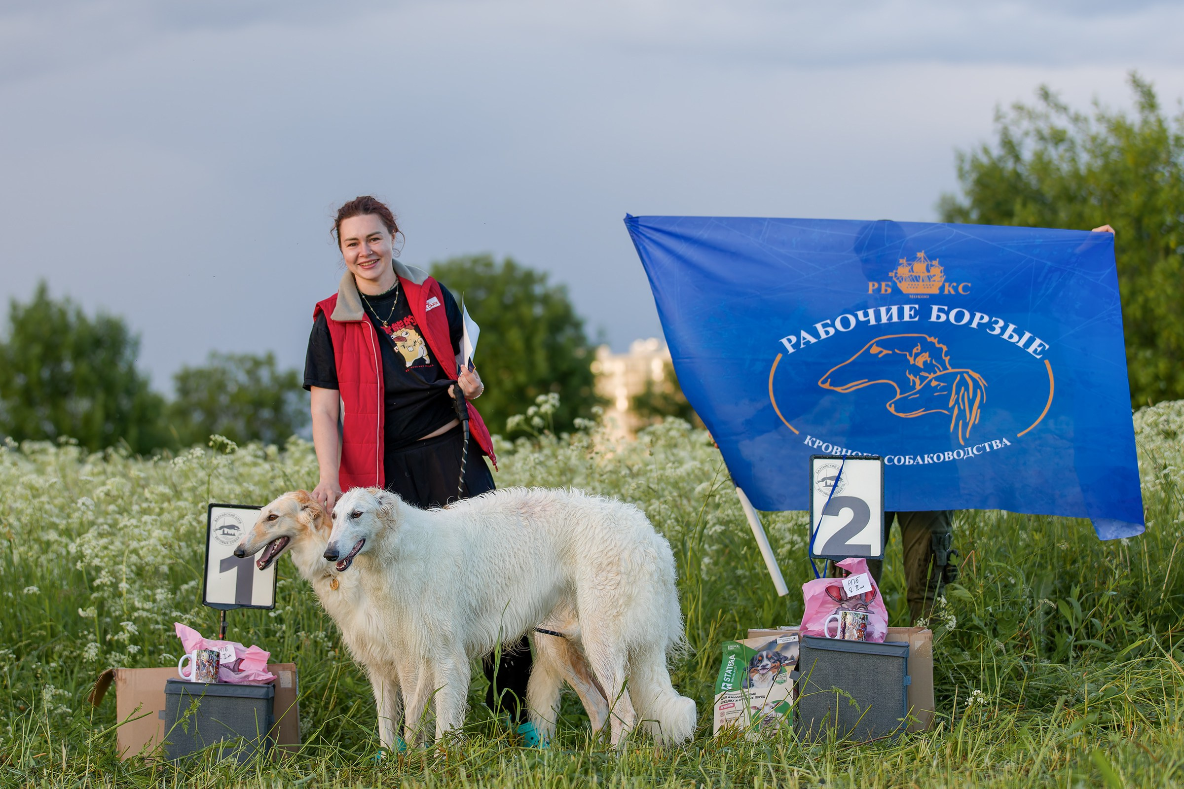 Чемпионат по курсингу июнь 2026. Irenephoto.ru