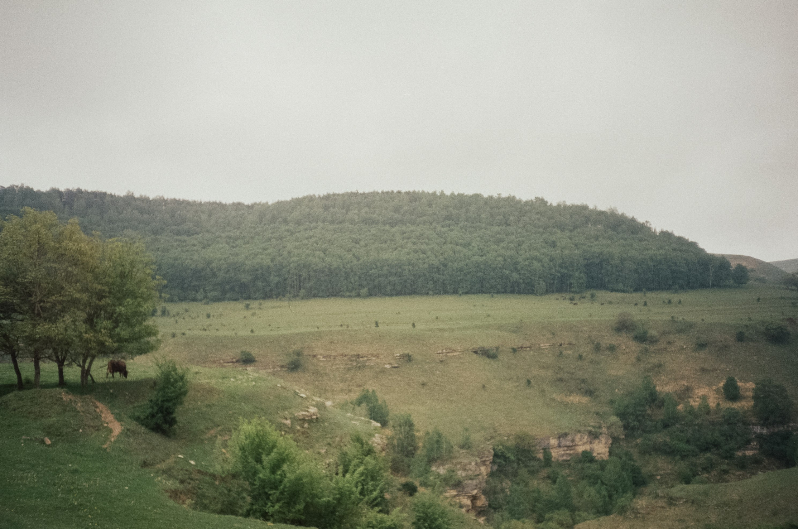 Дорога к Джилы-Су и лошадки в тумане. Фотограф-документалист Мария Осокина