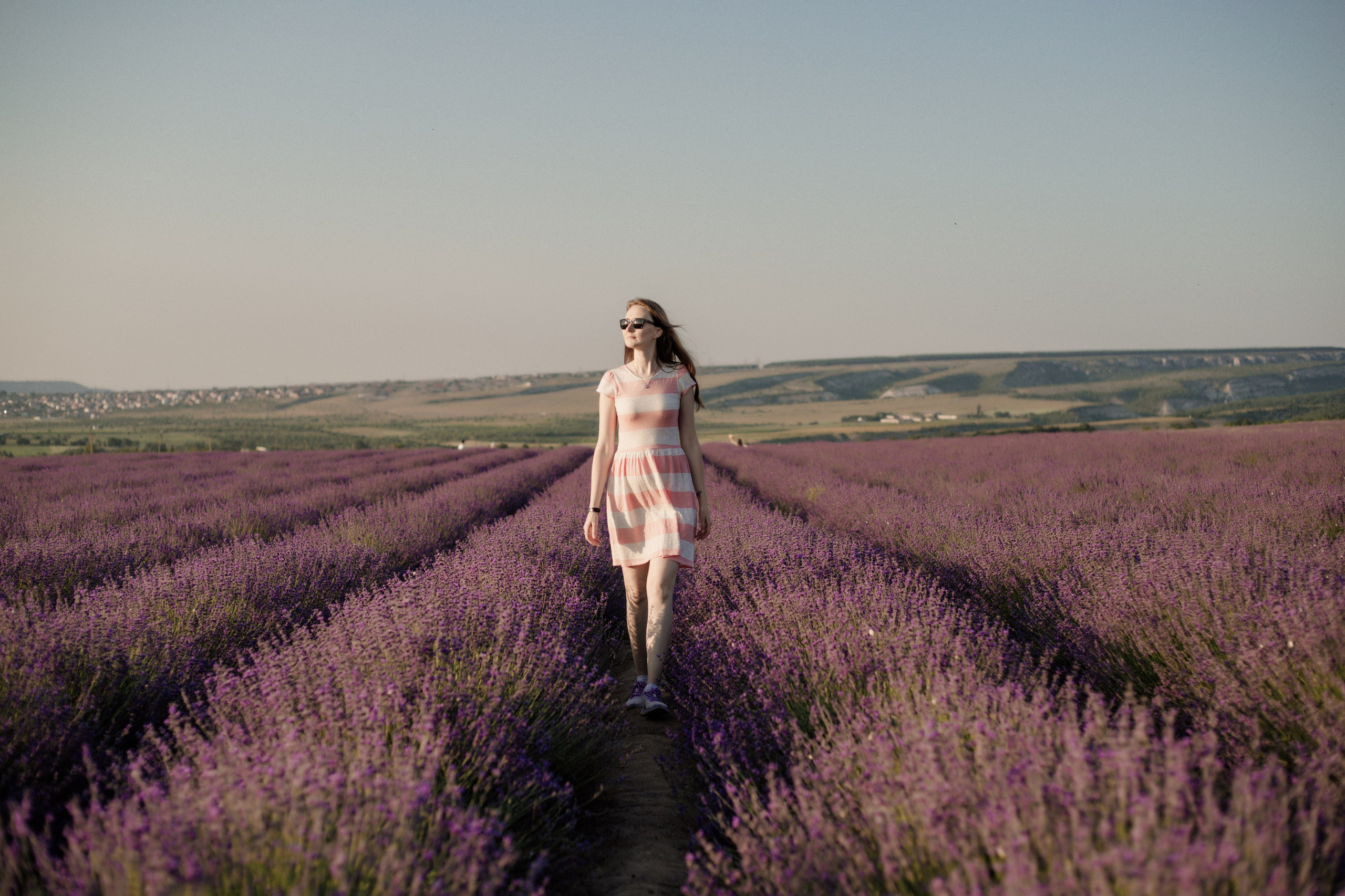 Лаванда. Фотограф и Видеограф Севастополь Крым