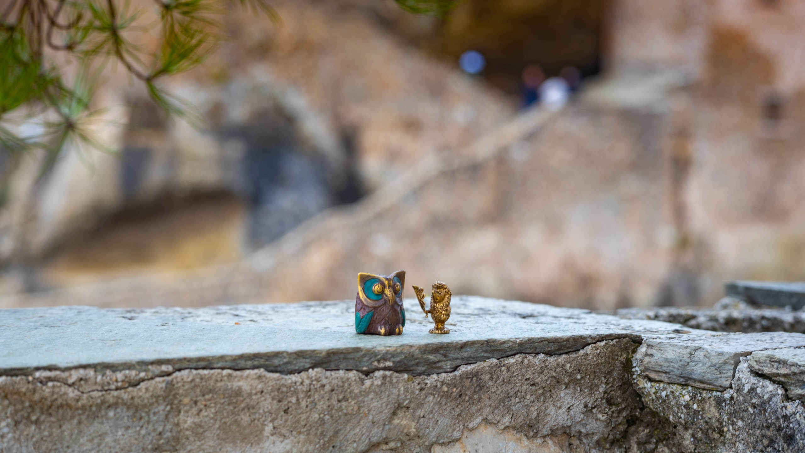 Ёжик и сова. Фотографии