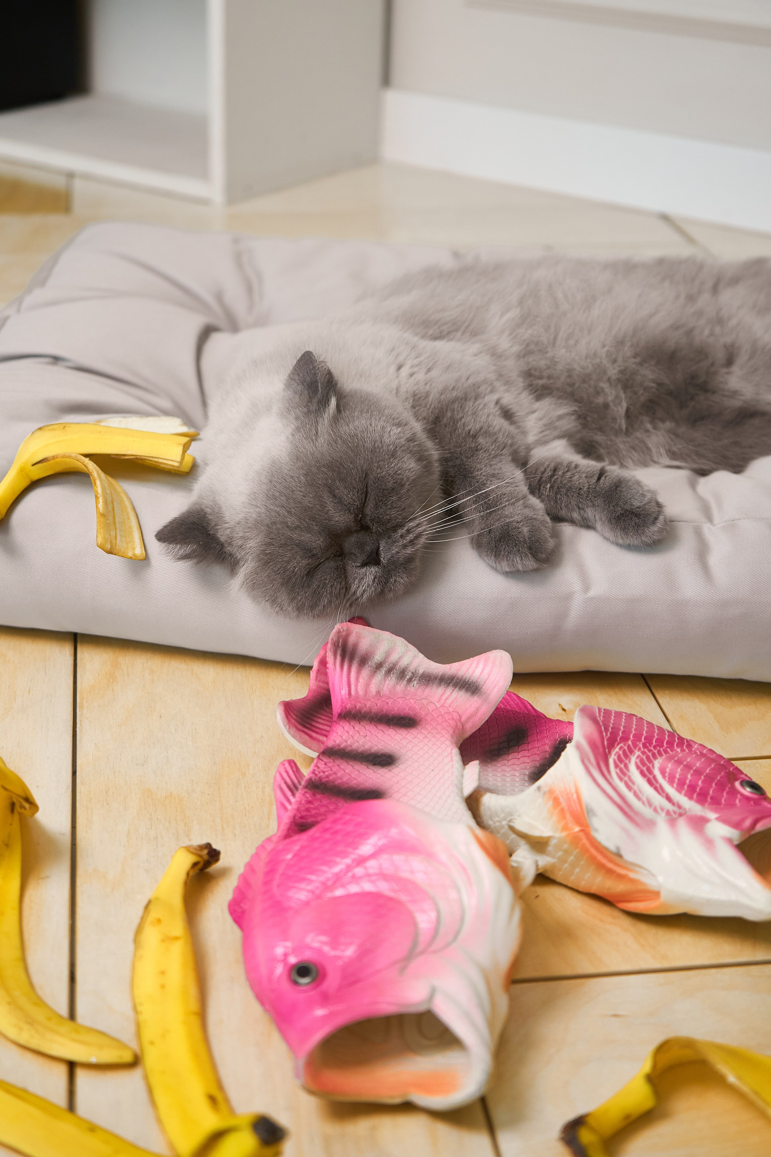 Вещь добра. Фотограф для брендов и маркетплейсов Екатеринбург Екатерина Дроздова