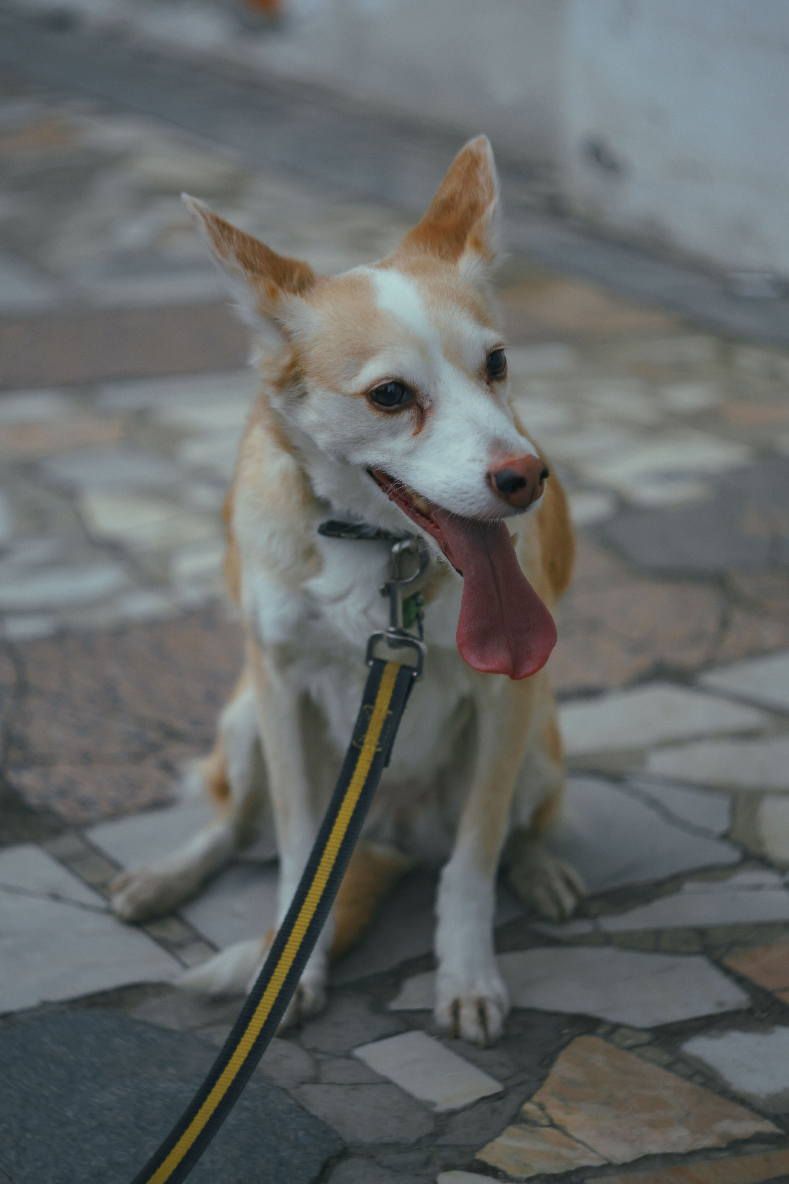 Соня. Фотограф в Кстово и Нижнем Новгороде KOLOSOK