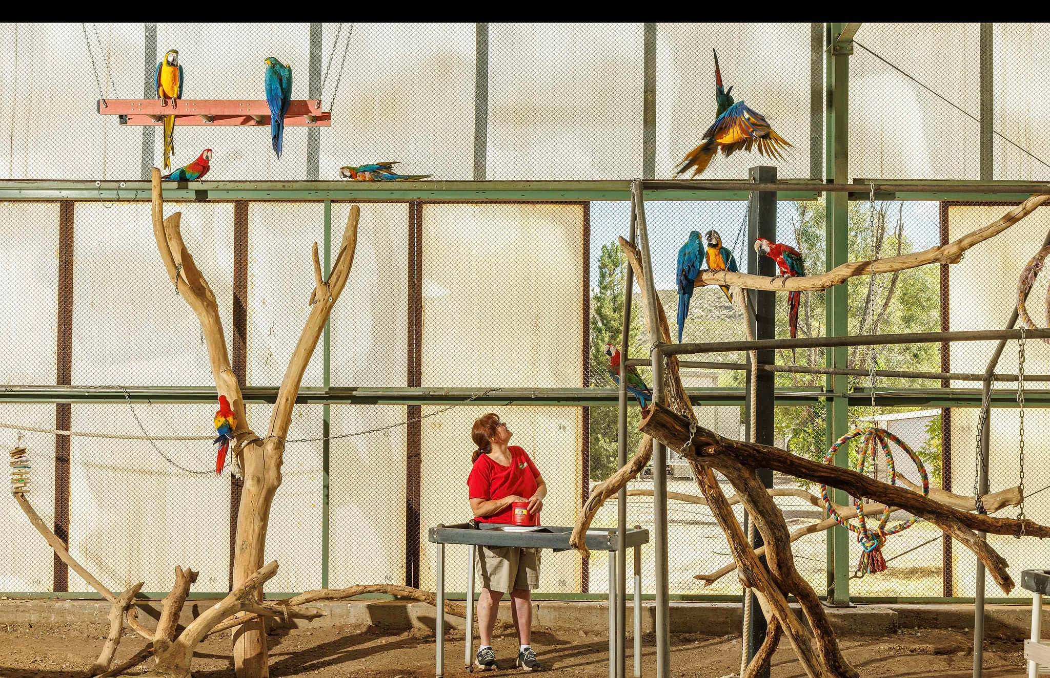 2024 год в объективе фотографов National Geographic. Фотограф Михаил Мордасов, Сочи. Мероприятия, портреты, спорт, репортаж