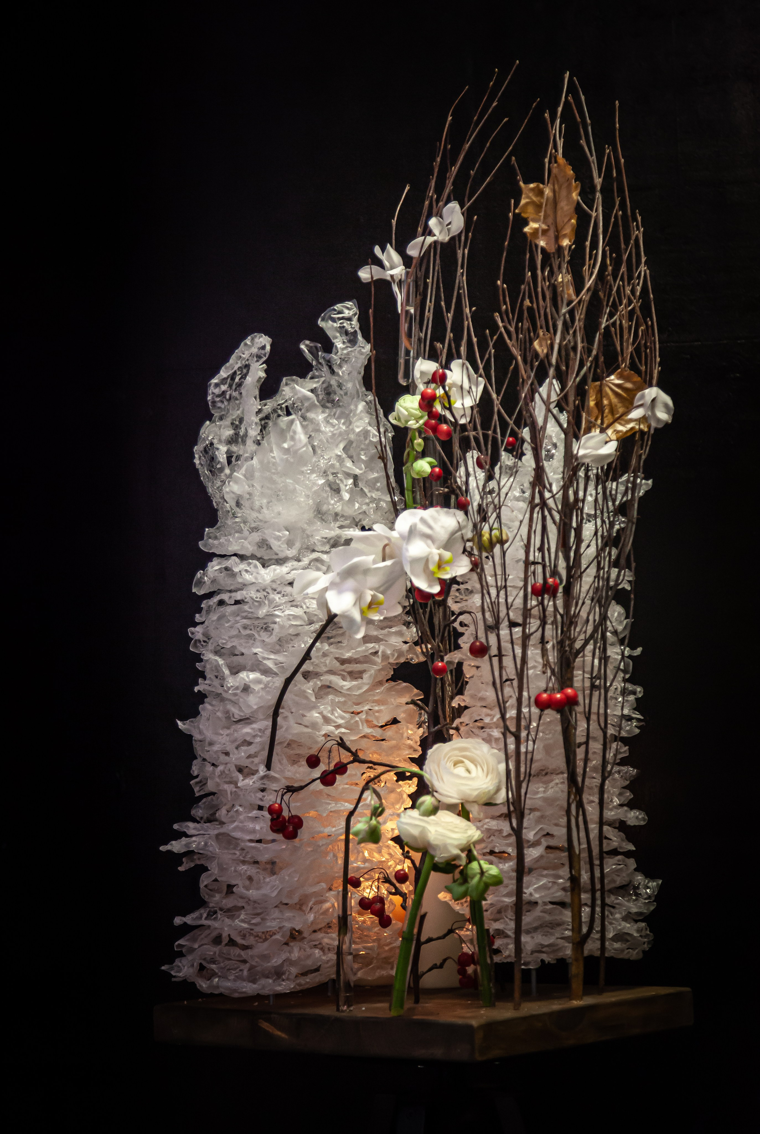 Floral Art. Maria Poleshchuk, commercial photographer in Sydney