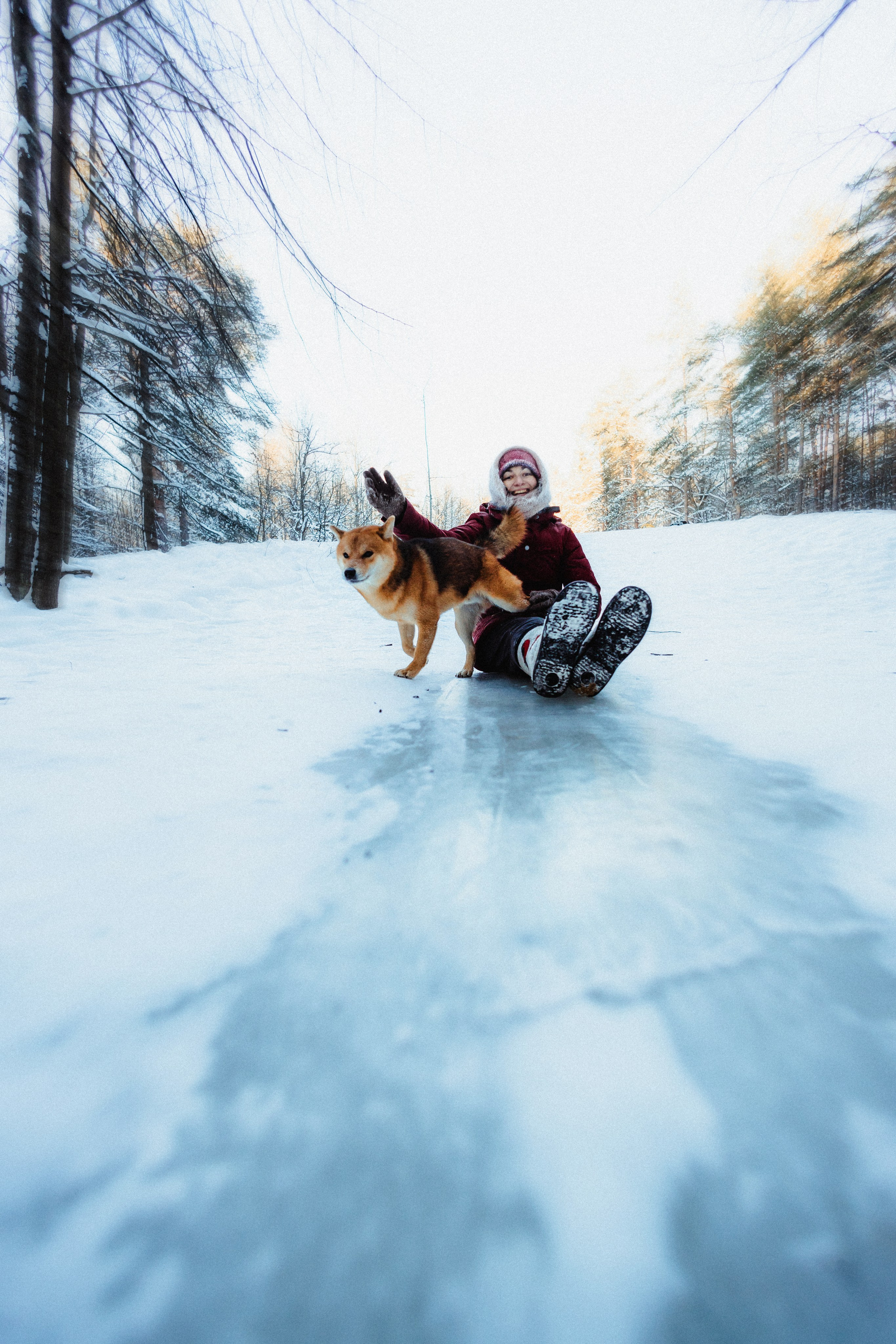 Шед, Цири и Ира