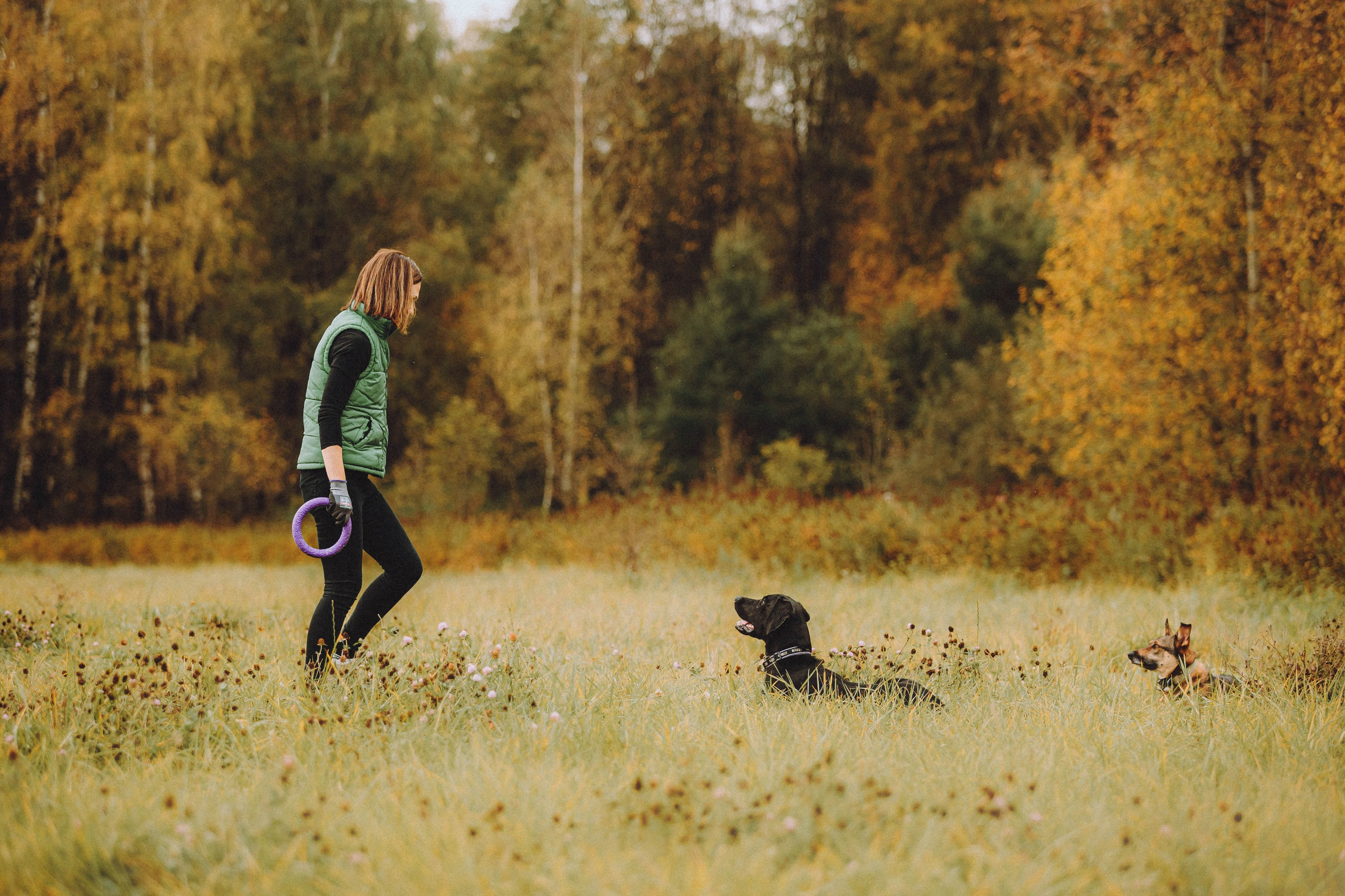 Аня, Нео и Луна