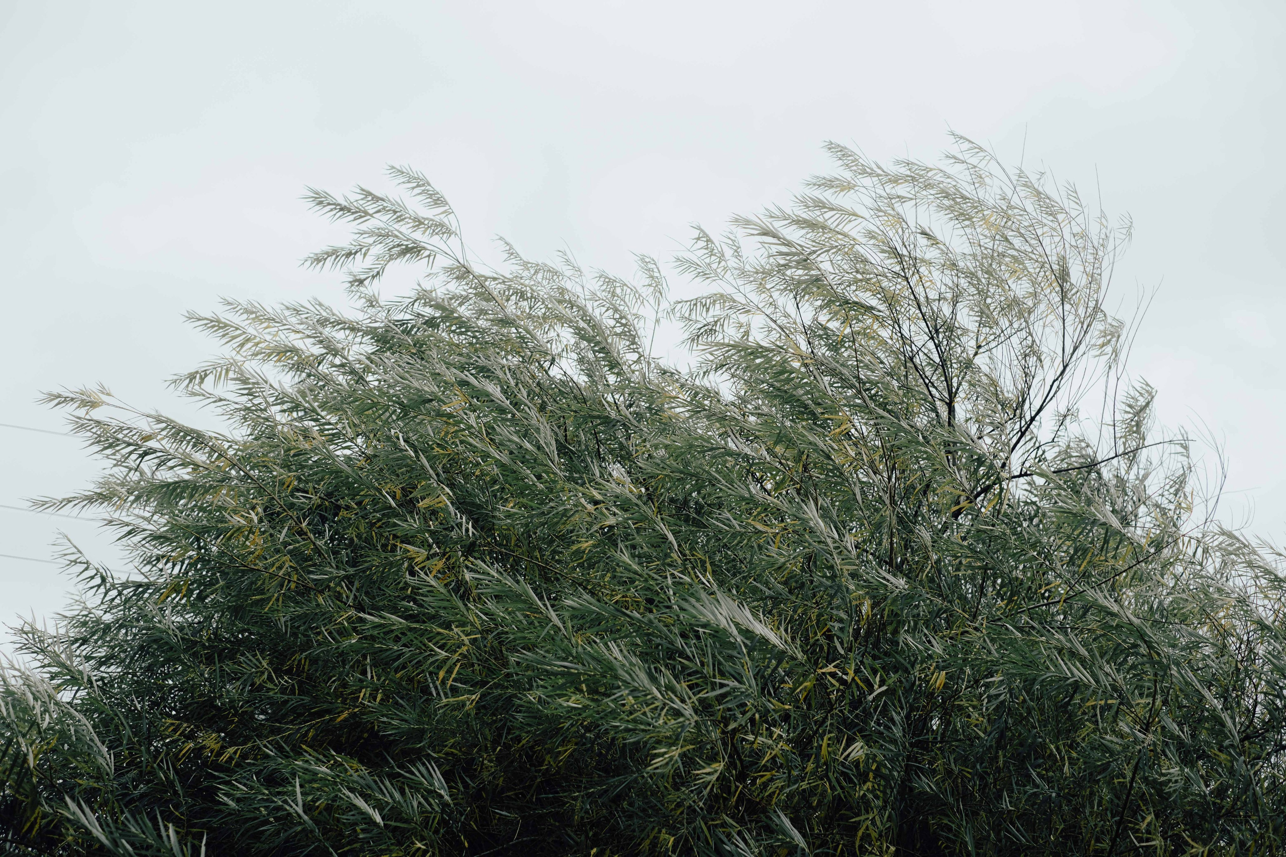 «52 герца». Фотограф Аннё| Москва