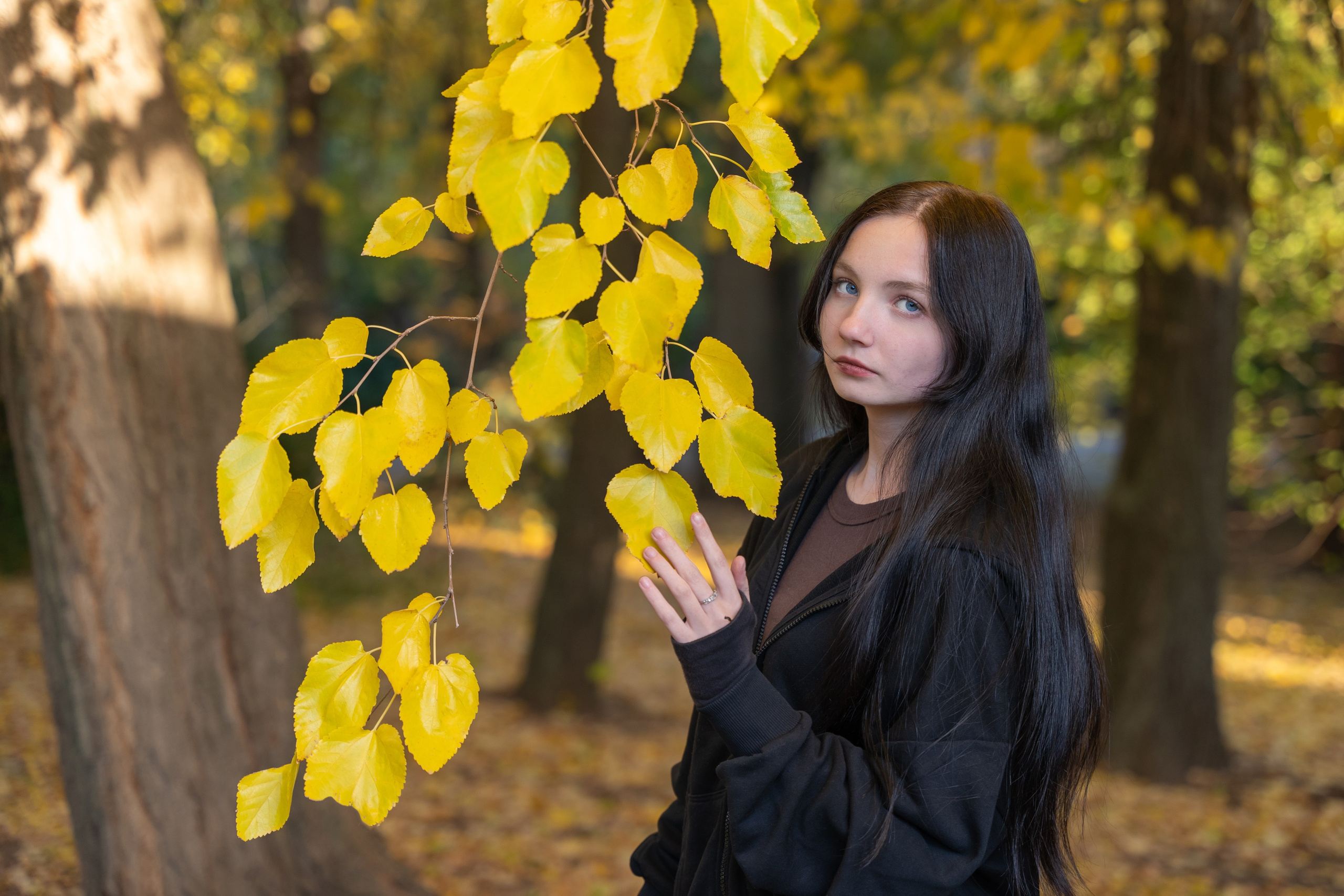 Золотая дружба в осенних красках. Фотограф |Ленинск, Волжский, Волгоград| Наталья Савилова