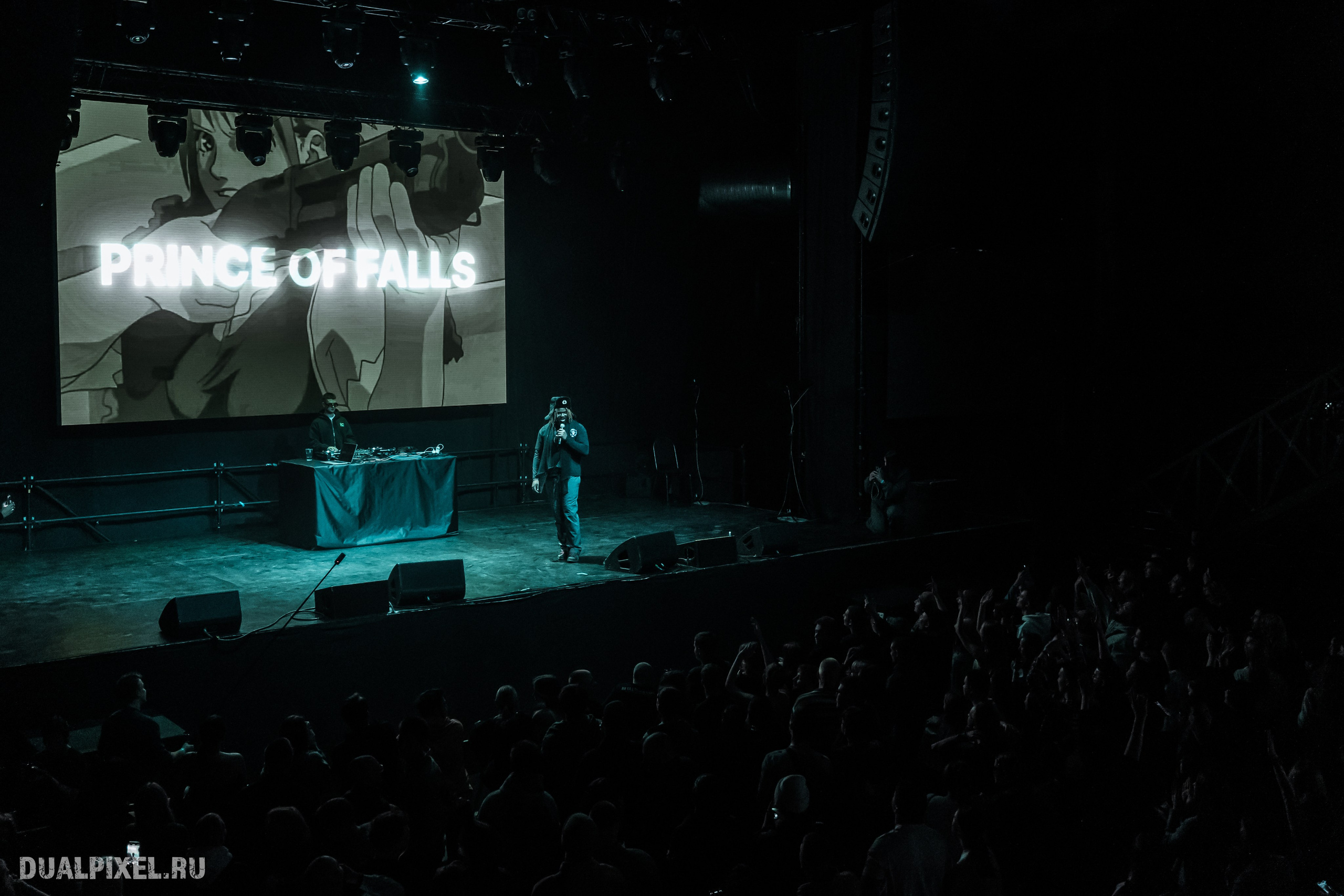 Prince Of Falls. Магия музыки в кадре: Концертная Фотография