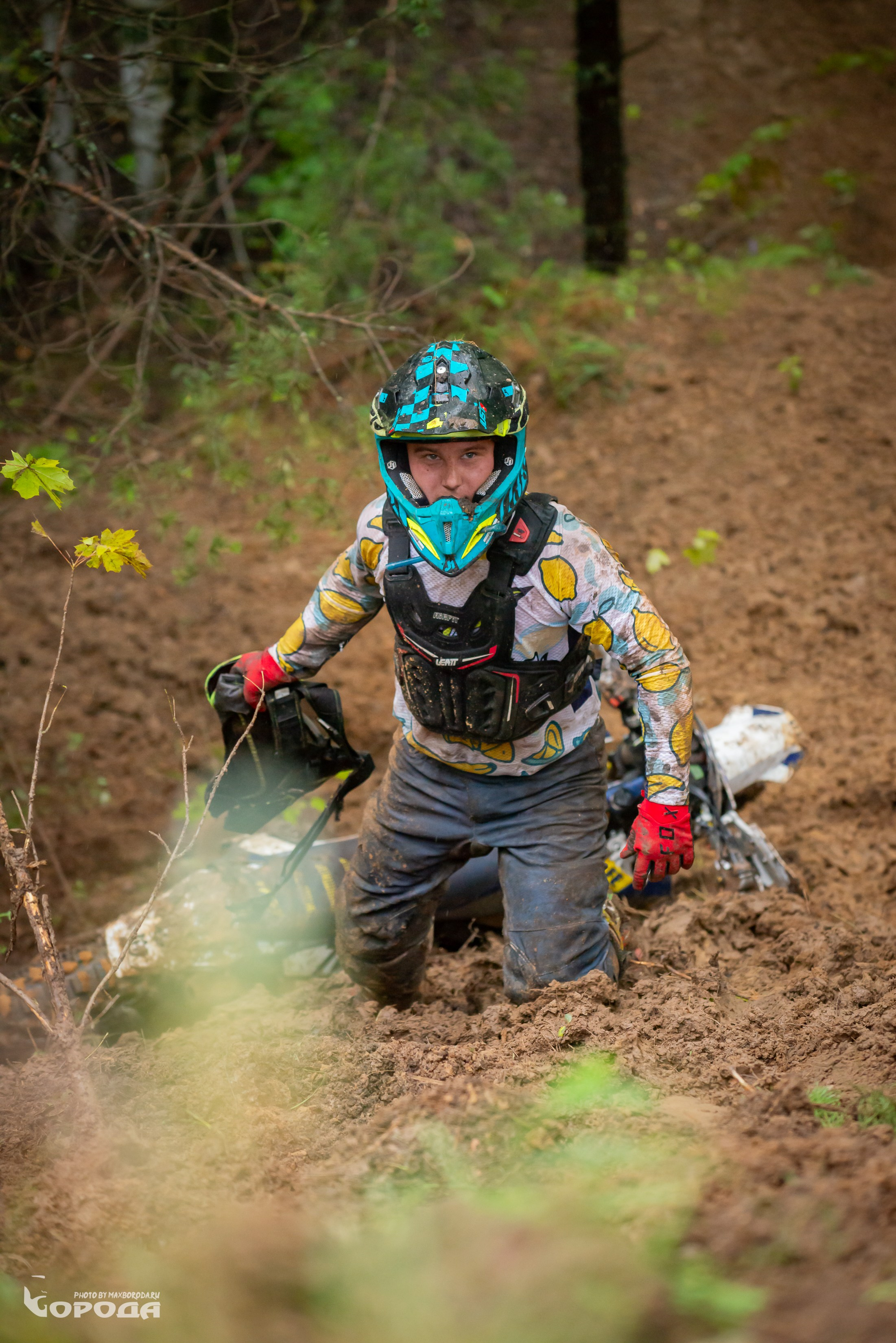 Дубрава 2025. Фотограф | Макс Борода