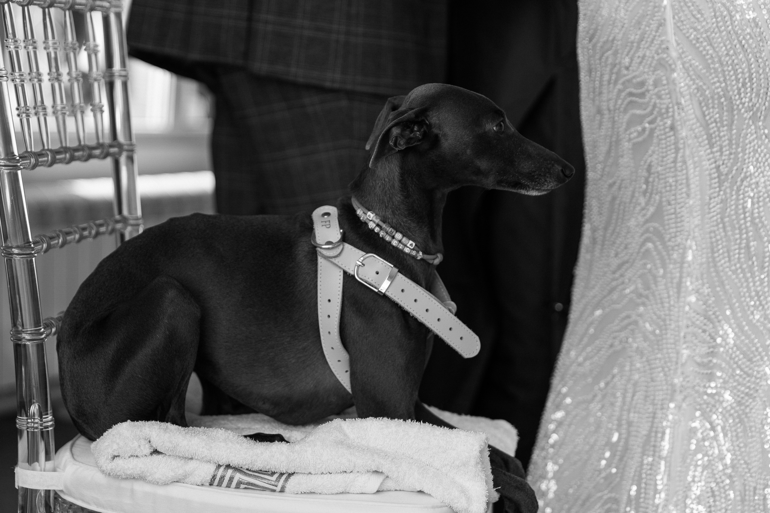 Арамаис и Камелия. Wedding photographer in St. Petersburg, Europe and Israel Anna Agafon