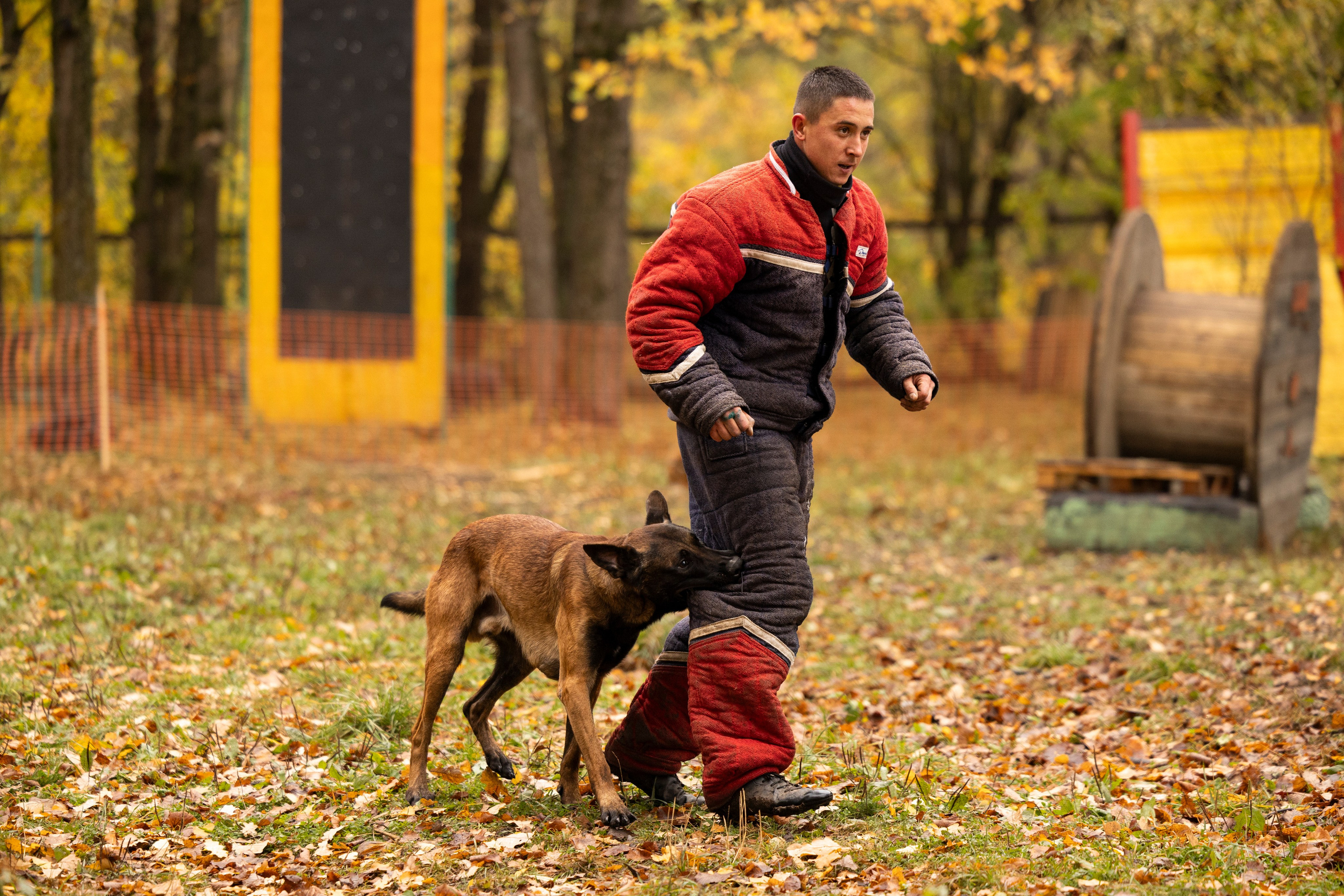 Соревнования по Мондьорингу г. Вологда. Фотограф-анималист Анна Маринич