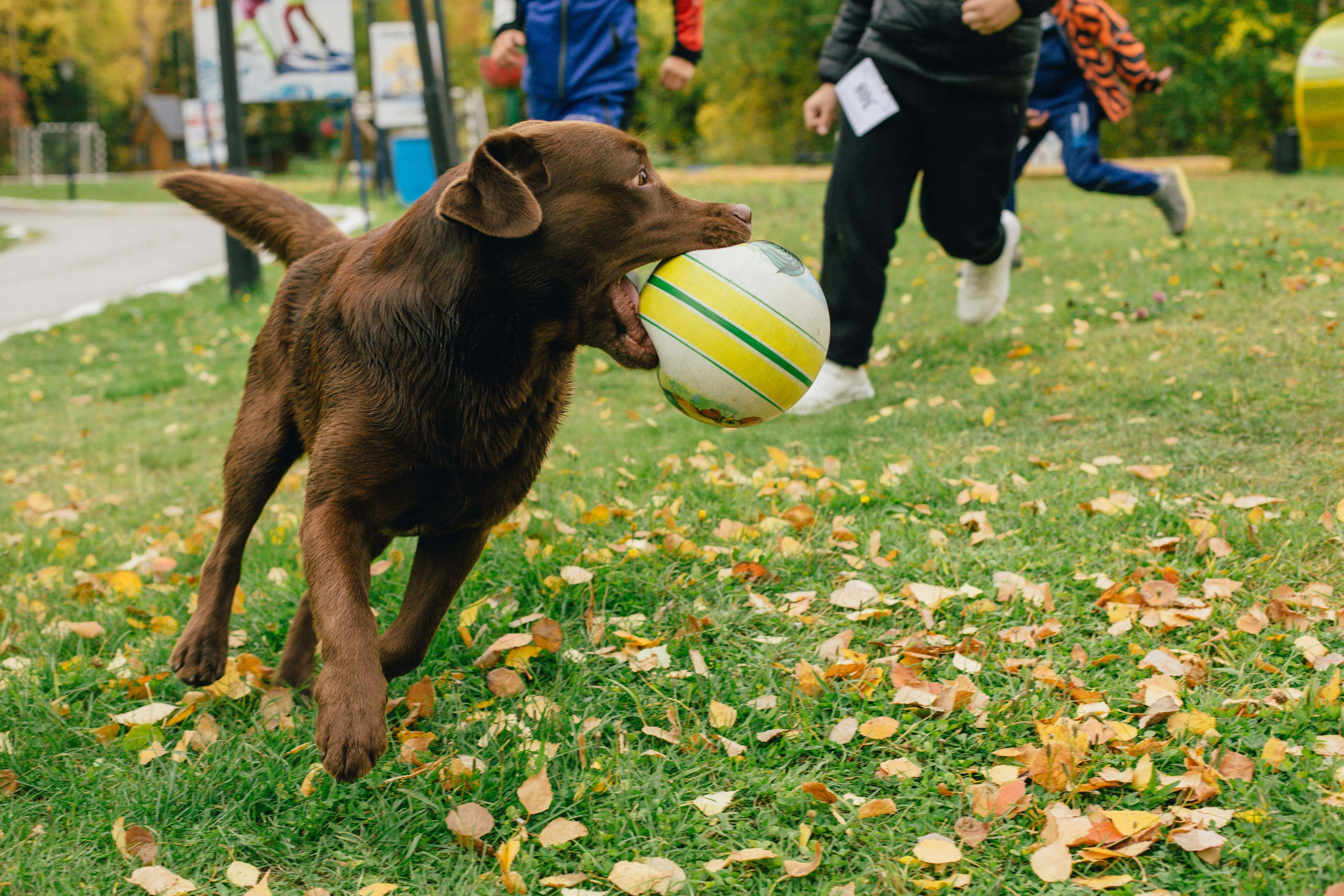 Спортивное ориентирование. Репортажный, семейный фотограф из Нефтеюганска