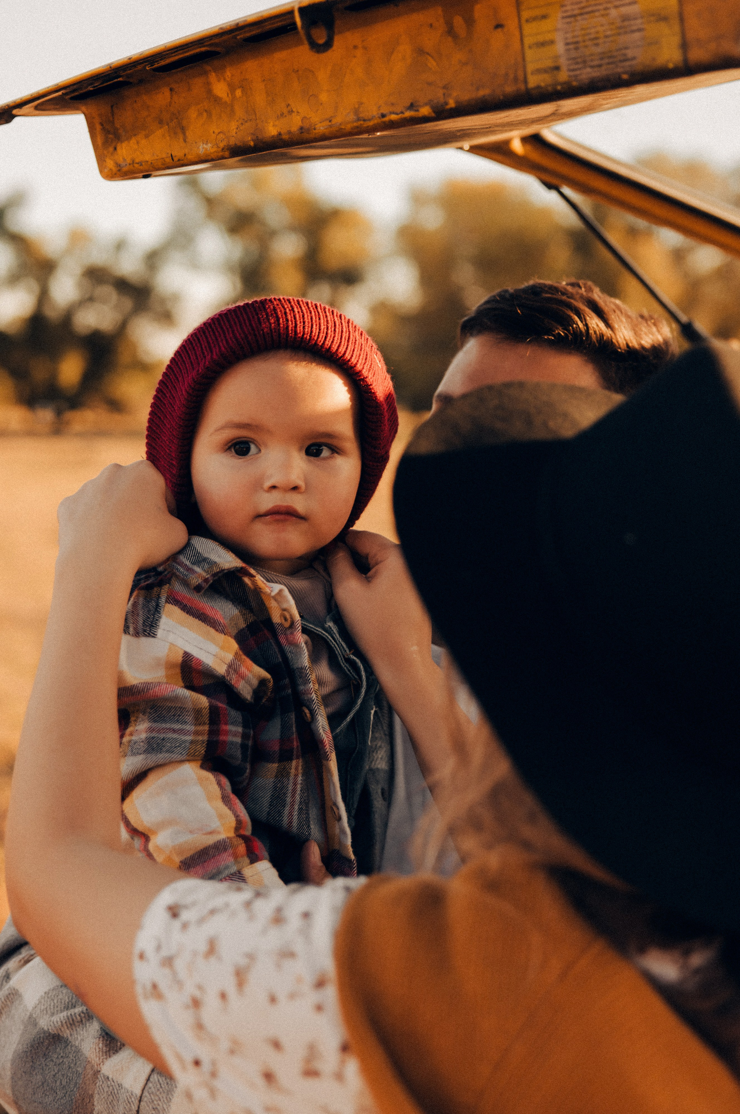 Семейная история