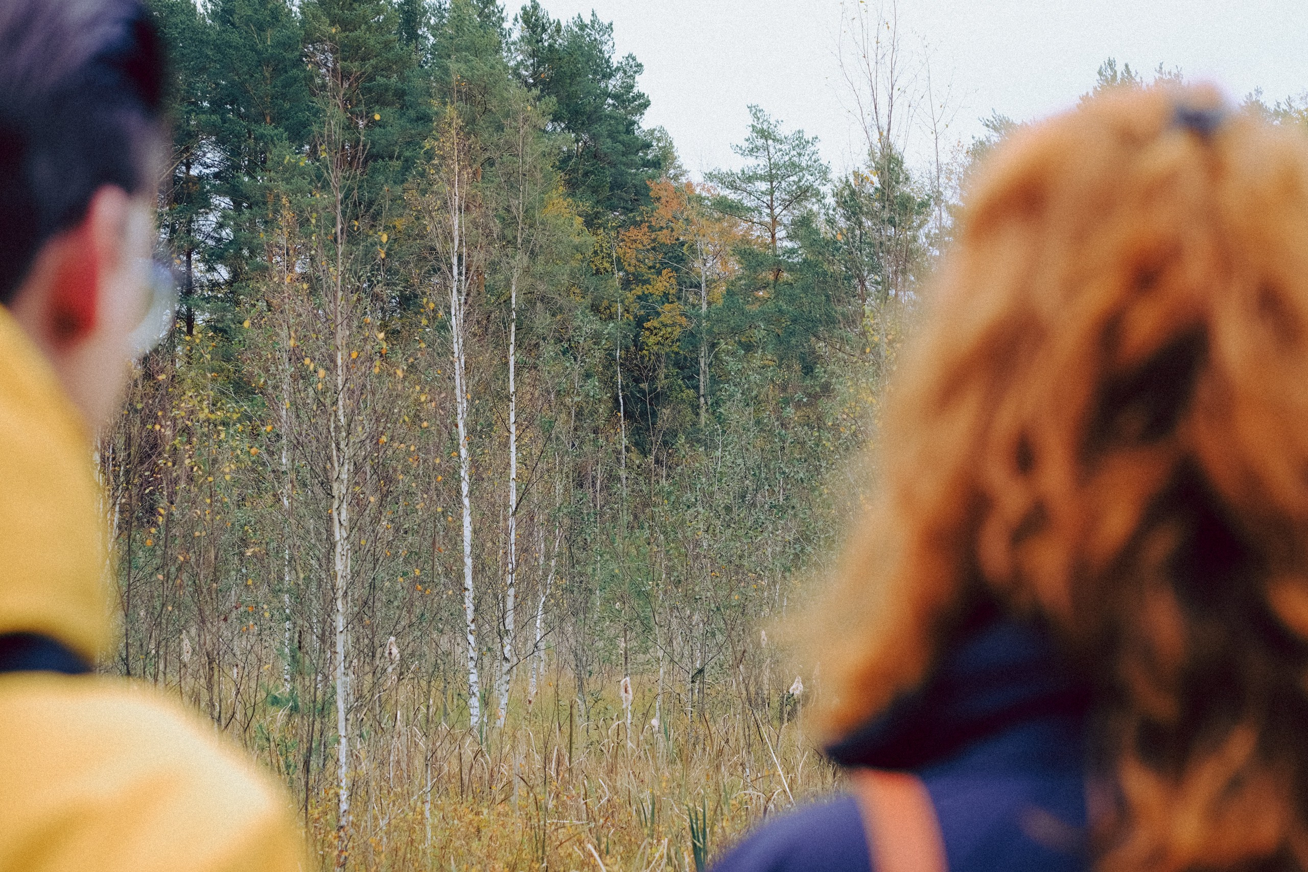 Осеняя прогулка. Профессиональный фотограф, Санкт-Петербург — Виктория Богомолова
