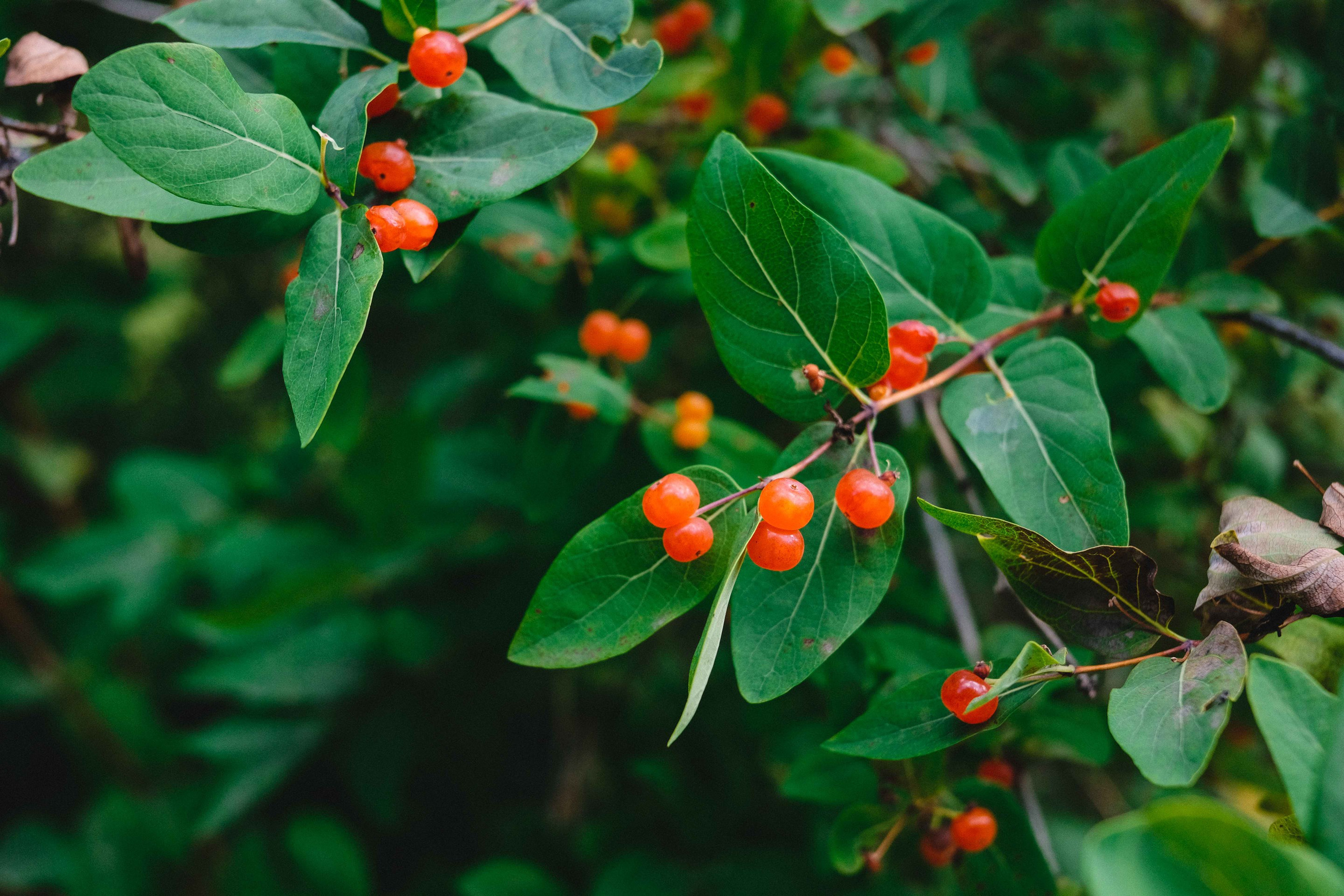 2023.07. Фотограф Алексей Алексеев