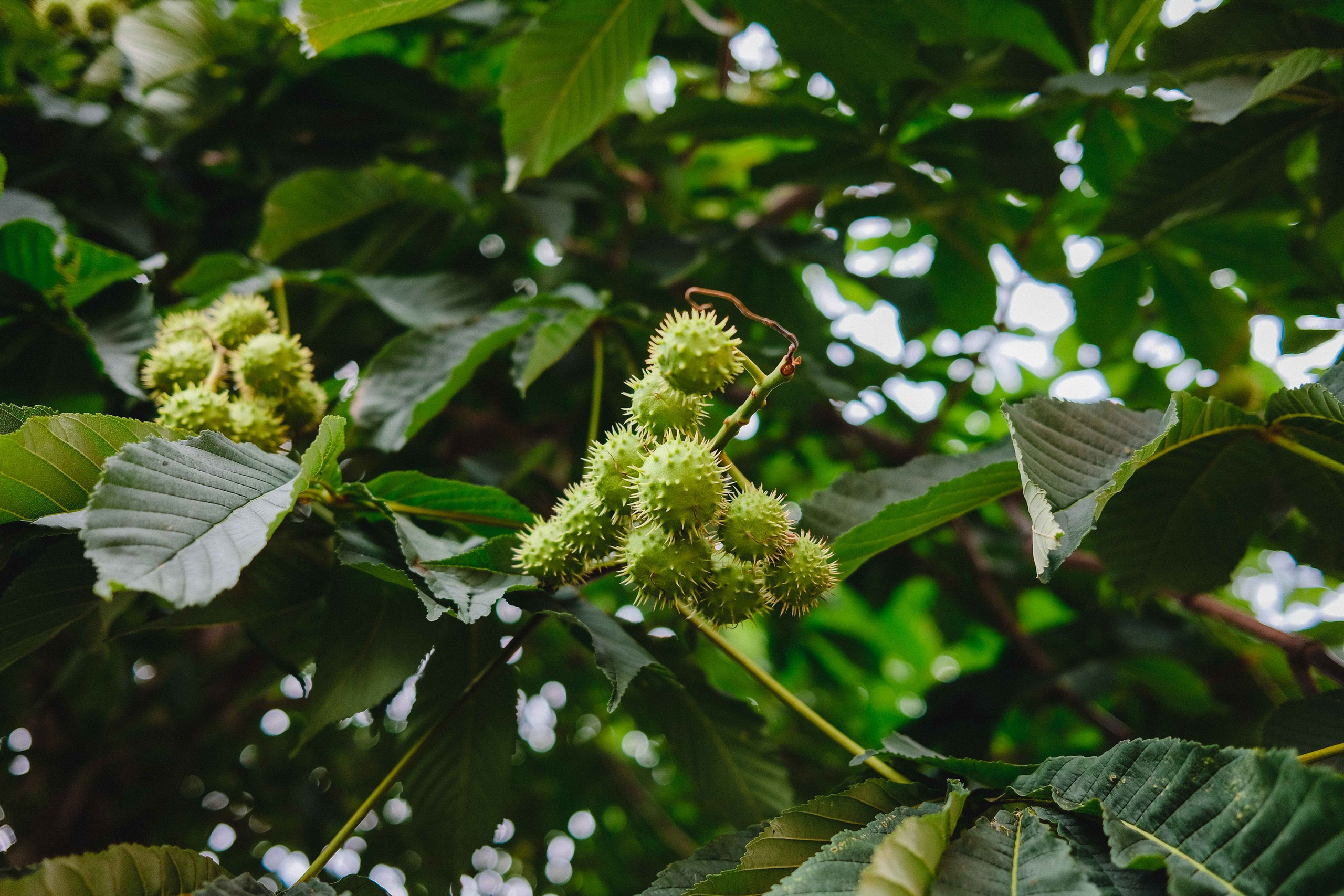 2023.07. Фотограф Алексей Алексеев