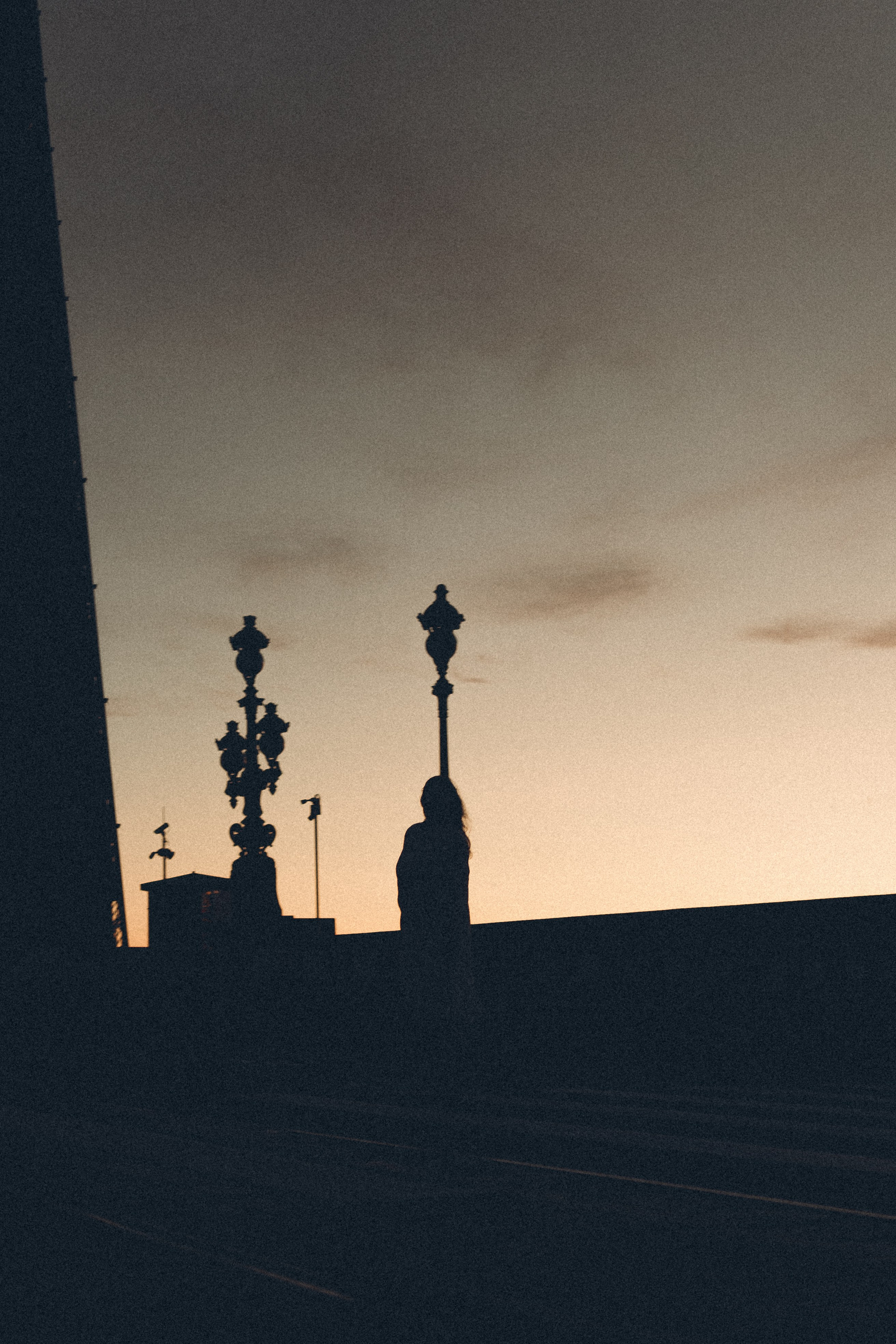 РАССВЕТ С РАЗВОДНЫМИ МОСТАМИ. Профессиональный фотограф, Санкт-Петербург — Виктория Богомолова