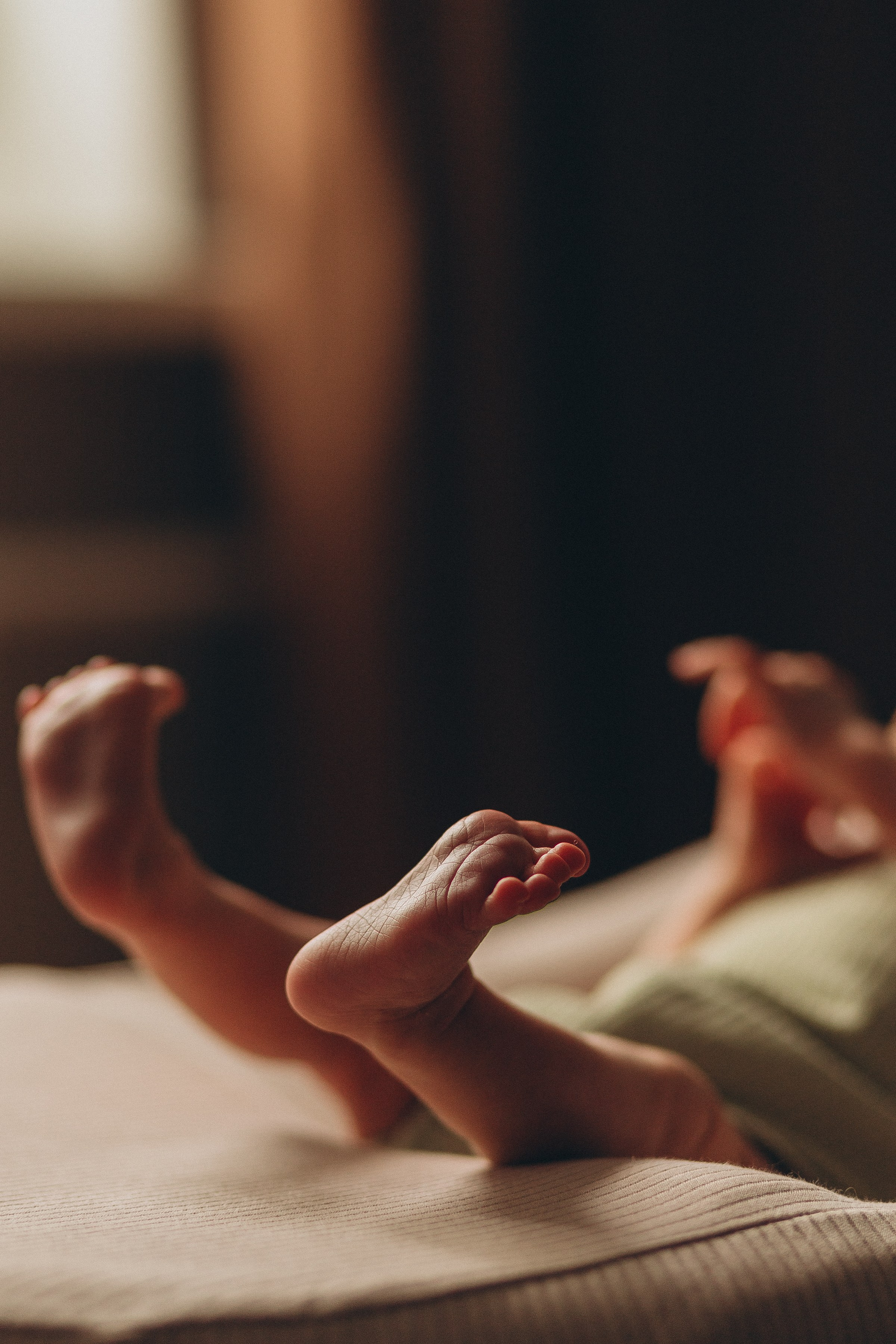 Нью борн домашняя. Семейный фотограф в Волгодонске Краченцева Анна