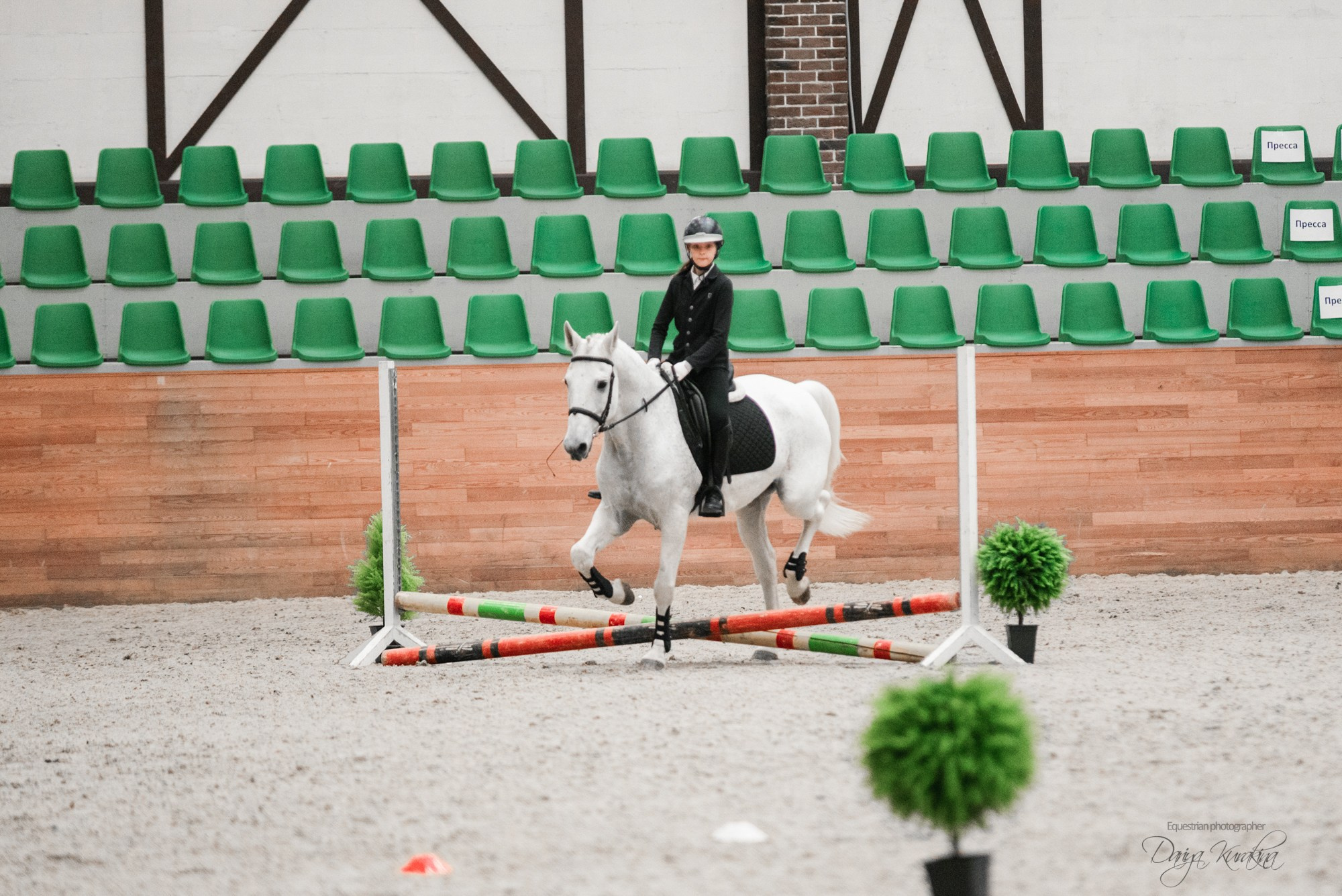 8-я международная выставка Конная Россия. Конный фотограф Куракина Дарья • Фотосессии с лошадьми