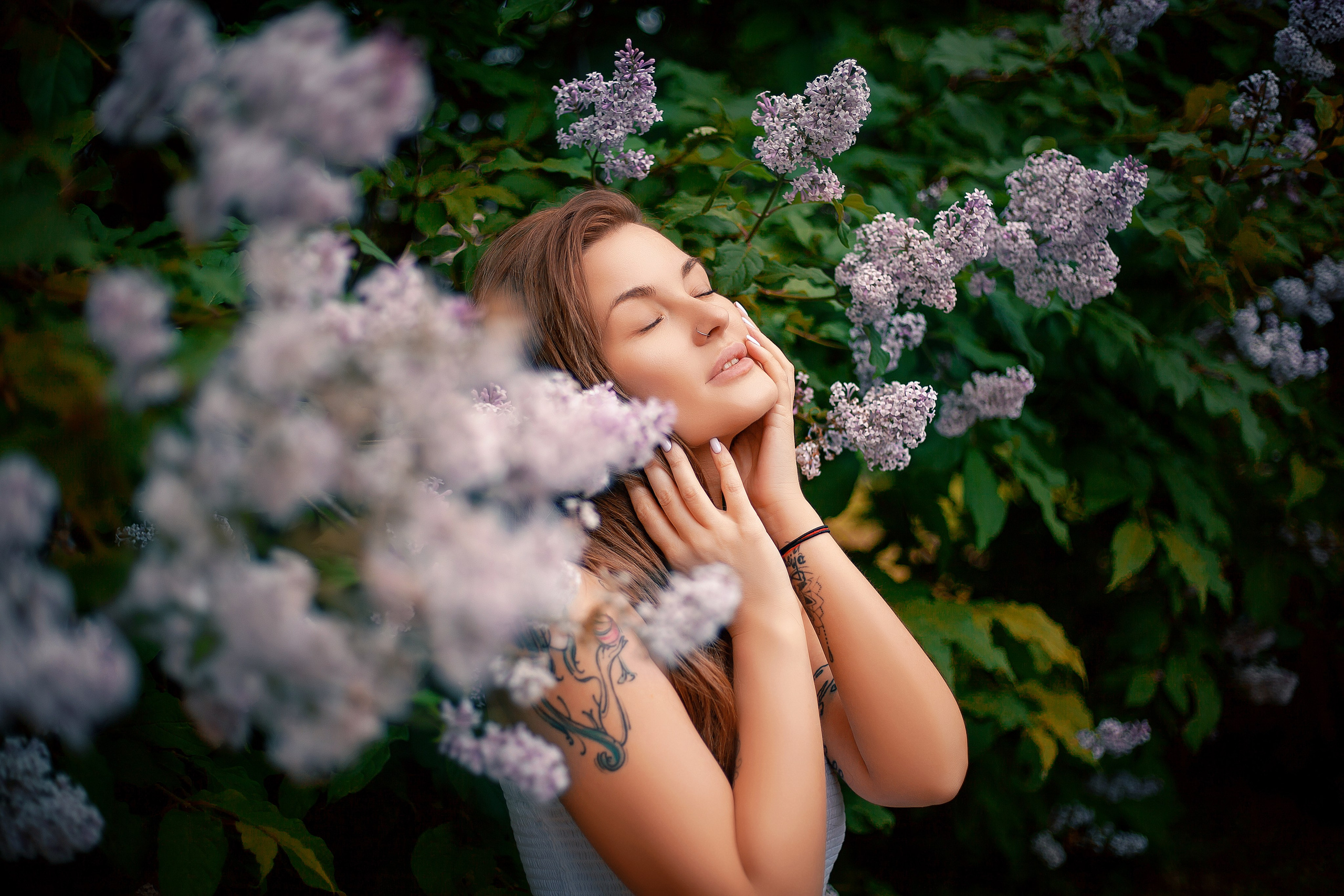 Люпины. Фотограф Мария Кольцова