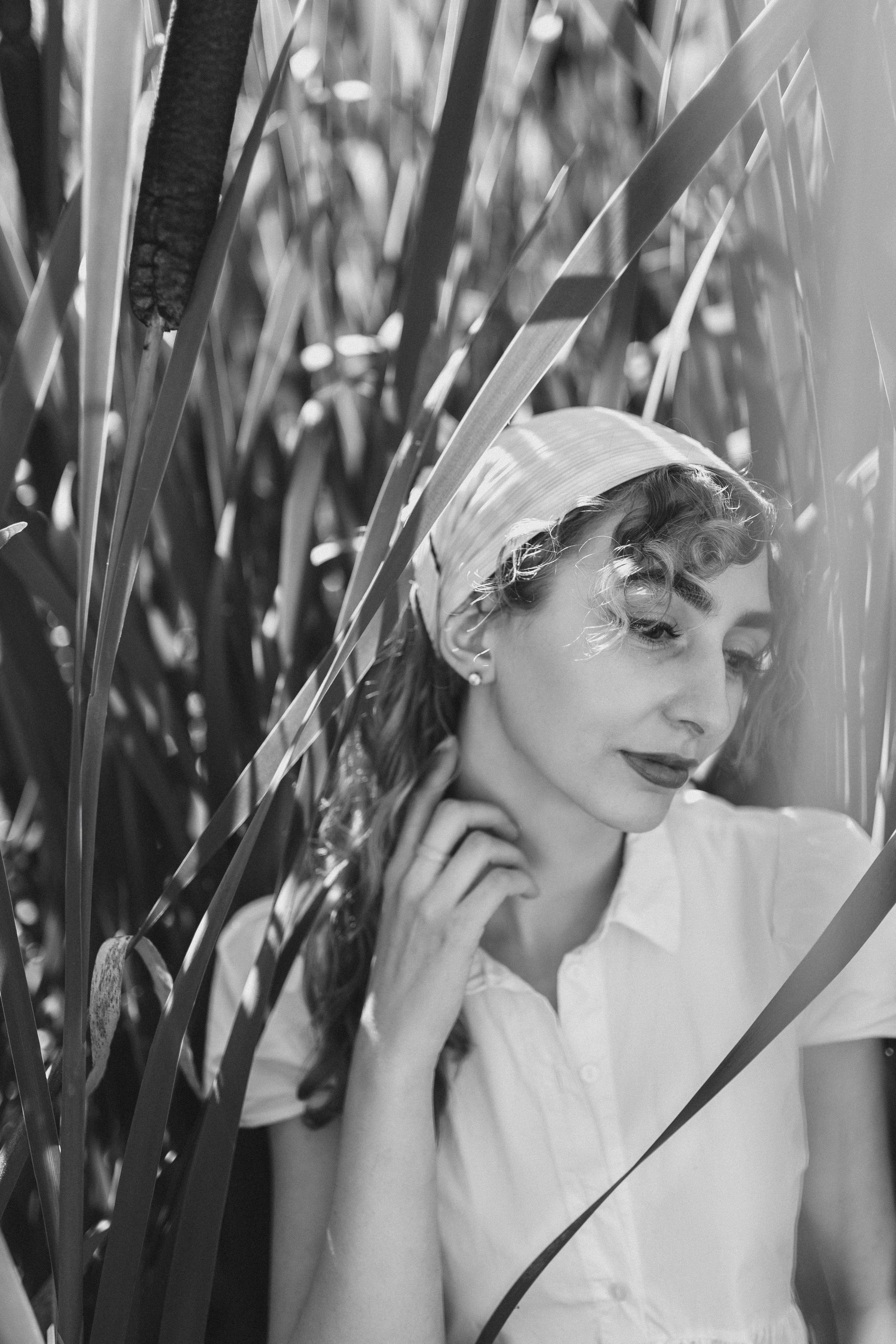 Нежность утреннего солнца. Главная