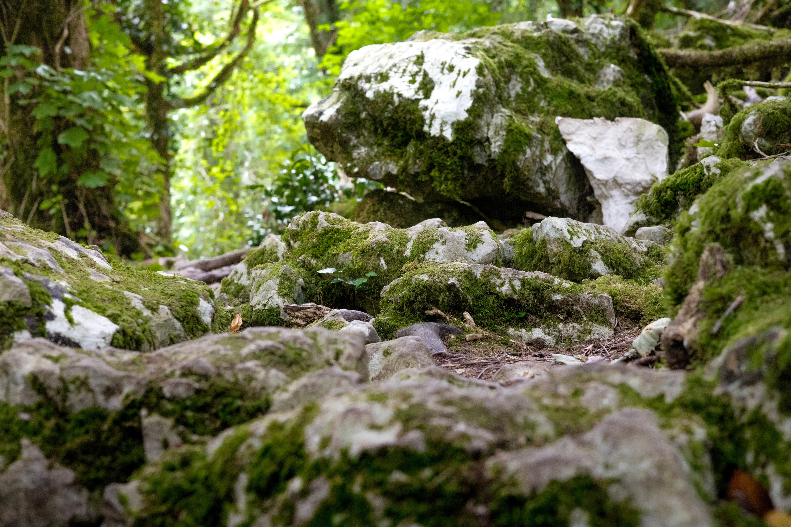Пейзажная фотография — Вдохновение дикой природой | Максим Ремизевич. Maxim Remizevich | Photographer