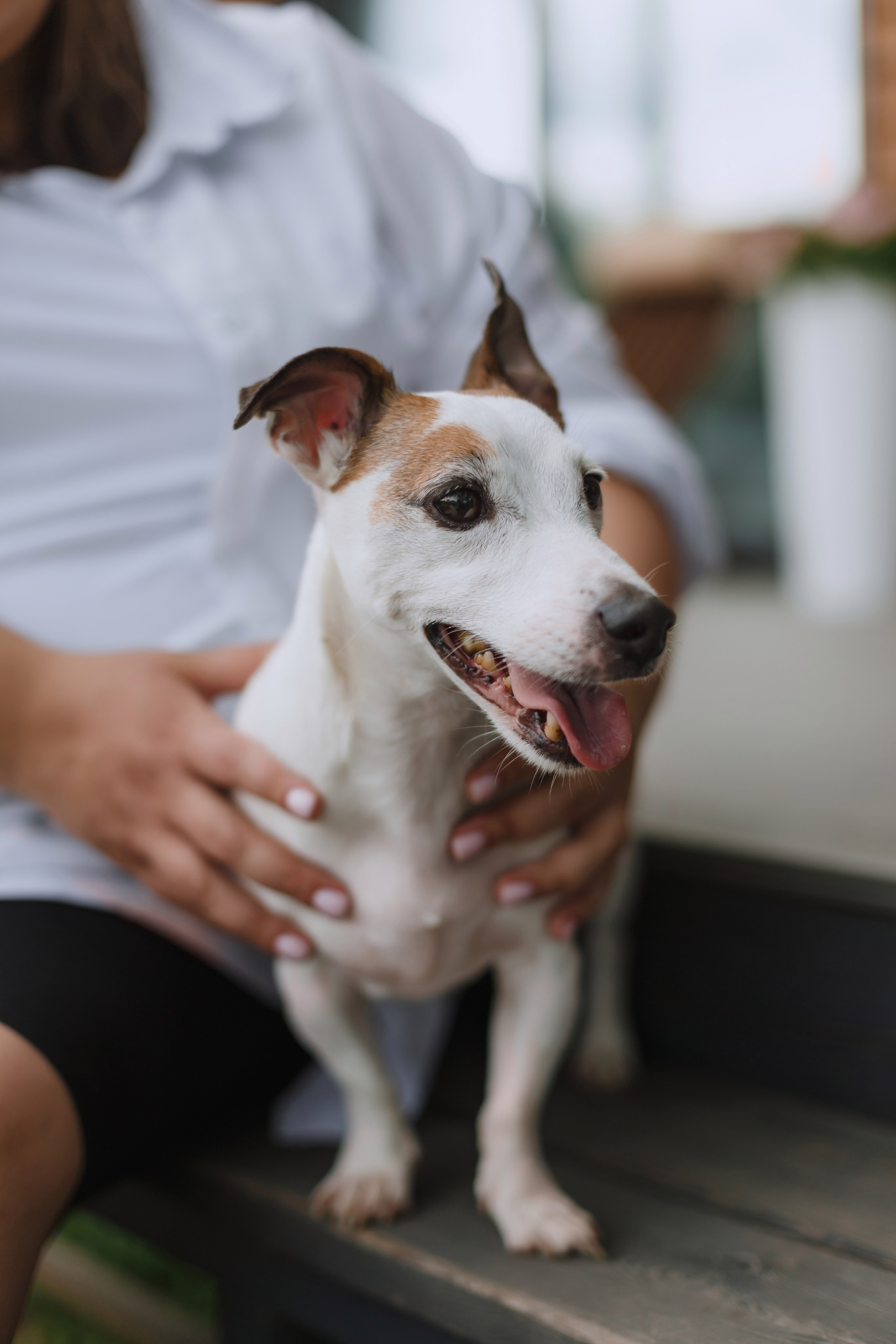 Большое Олино семейство. Профессиональный фотограф Надежда Антонова