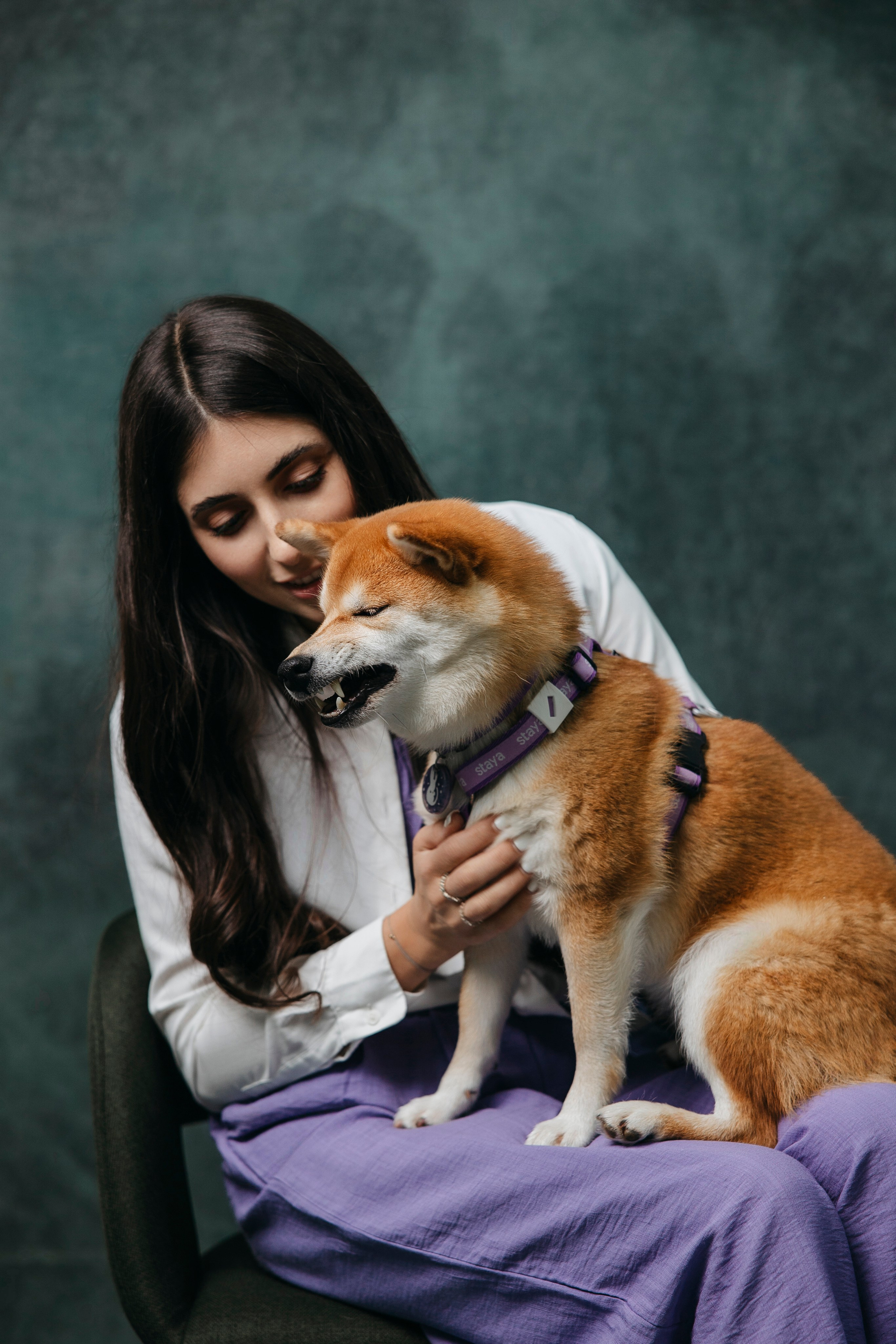 Съемка в студии с собакой. Анастасия Белаш