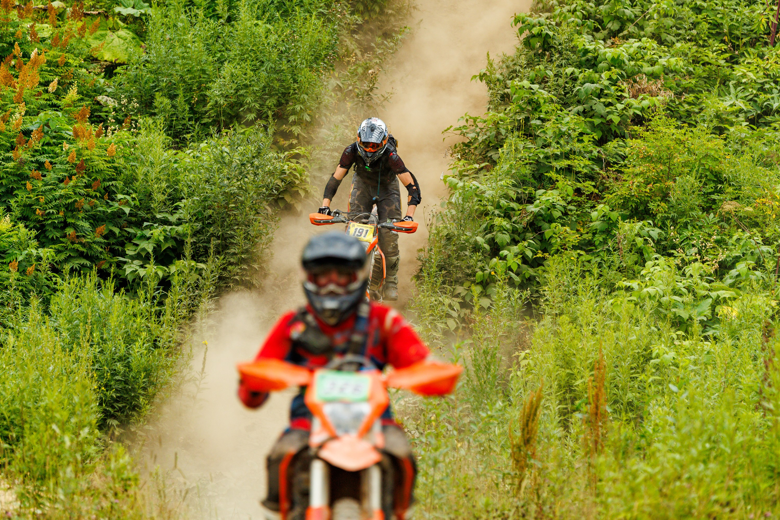 NPR-2025. Свадебный, семейный и репортажный фотограф в Южно-Сахалинске Артур Петросян