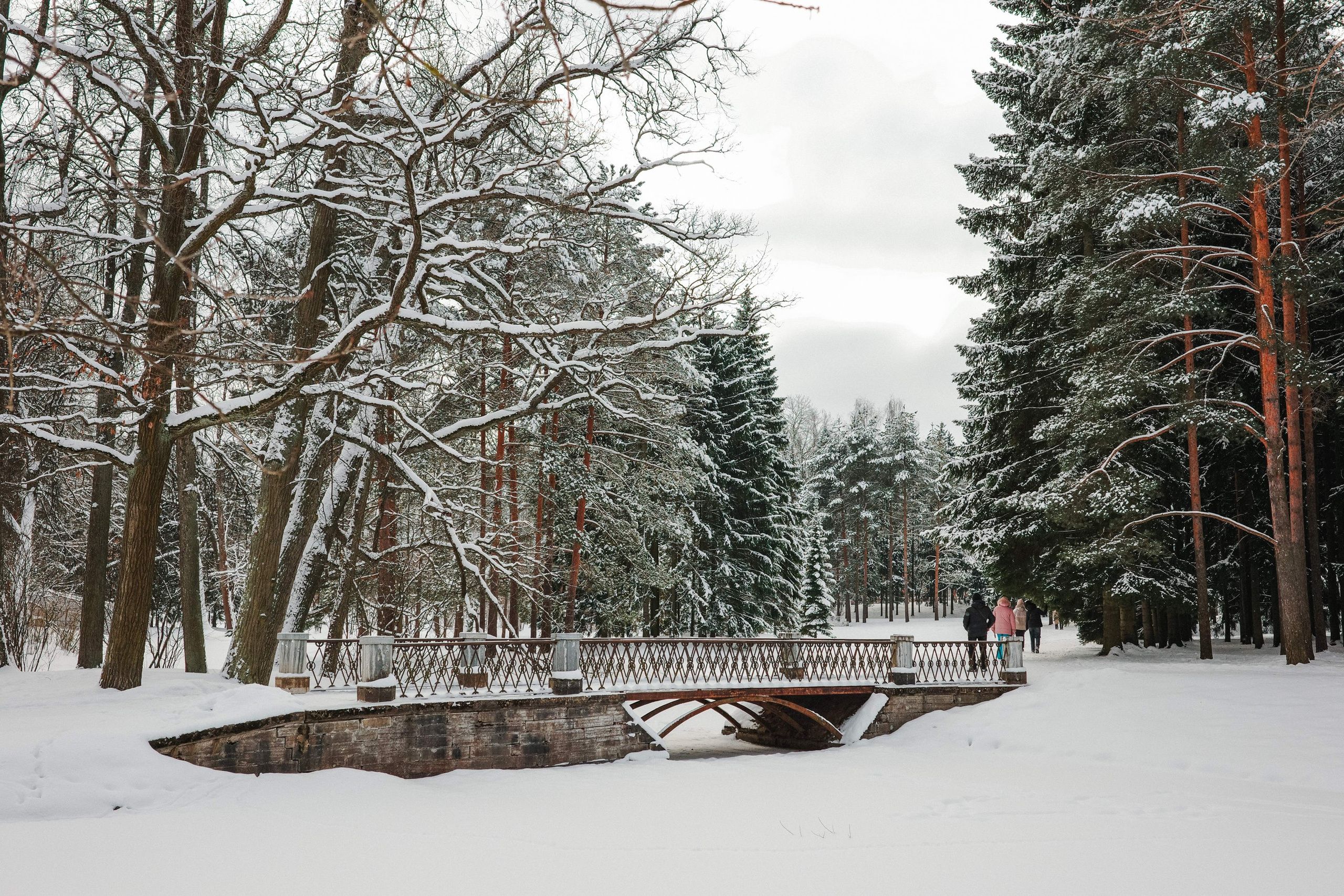 2025.02. Фотограф Алексей Алексеев