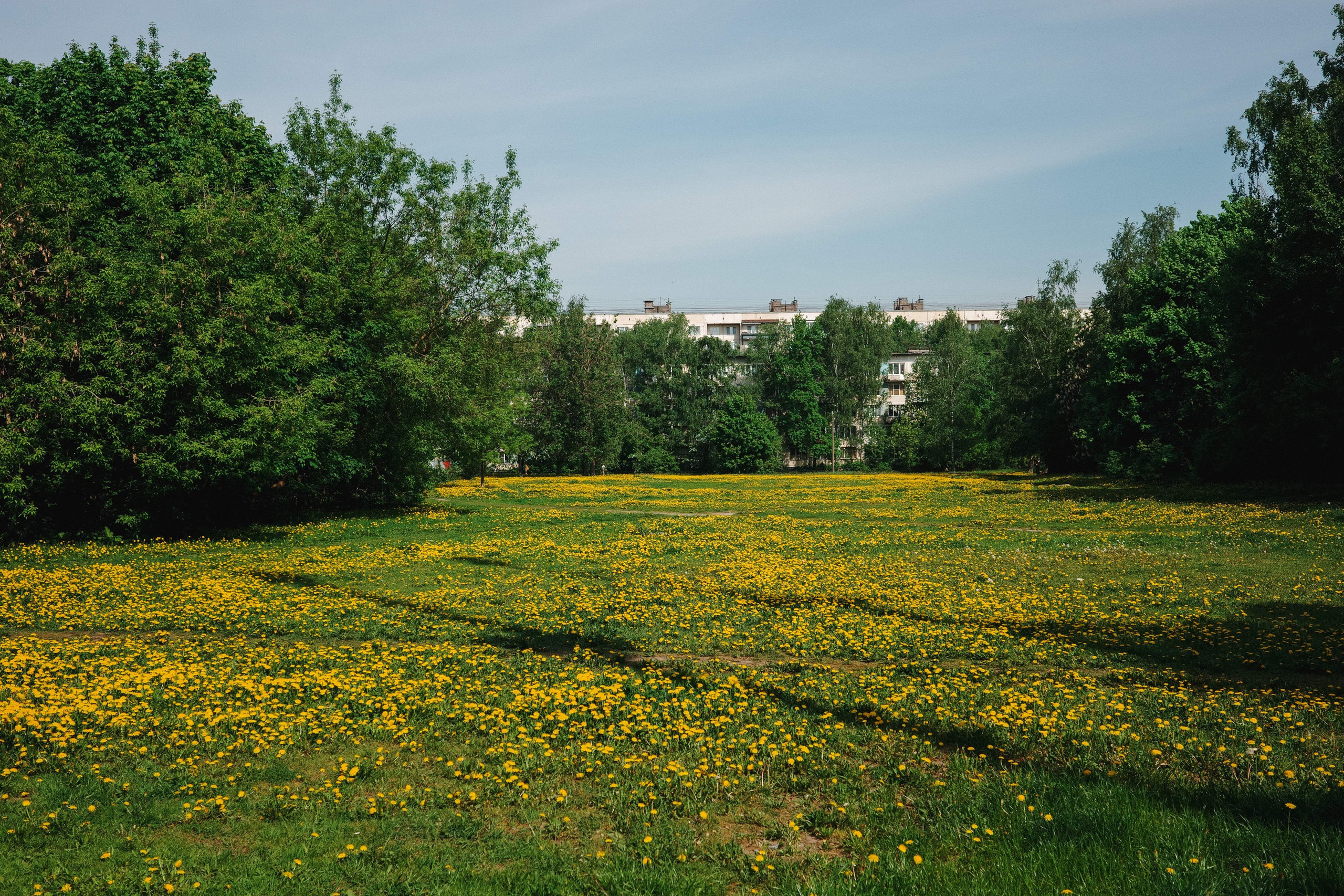 2024.05. Фотограф Алексей Алексеев