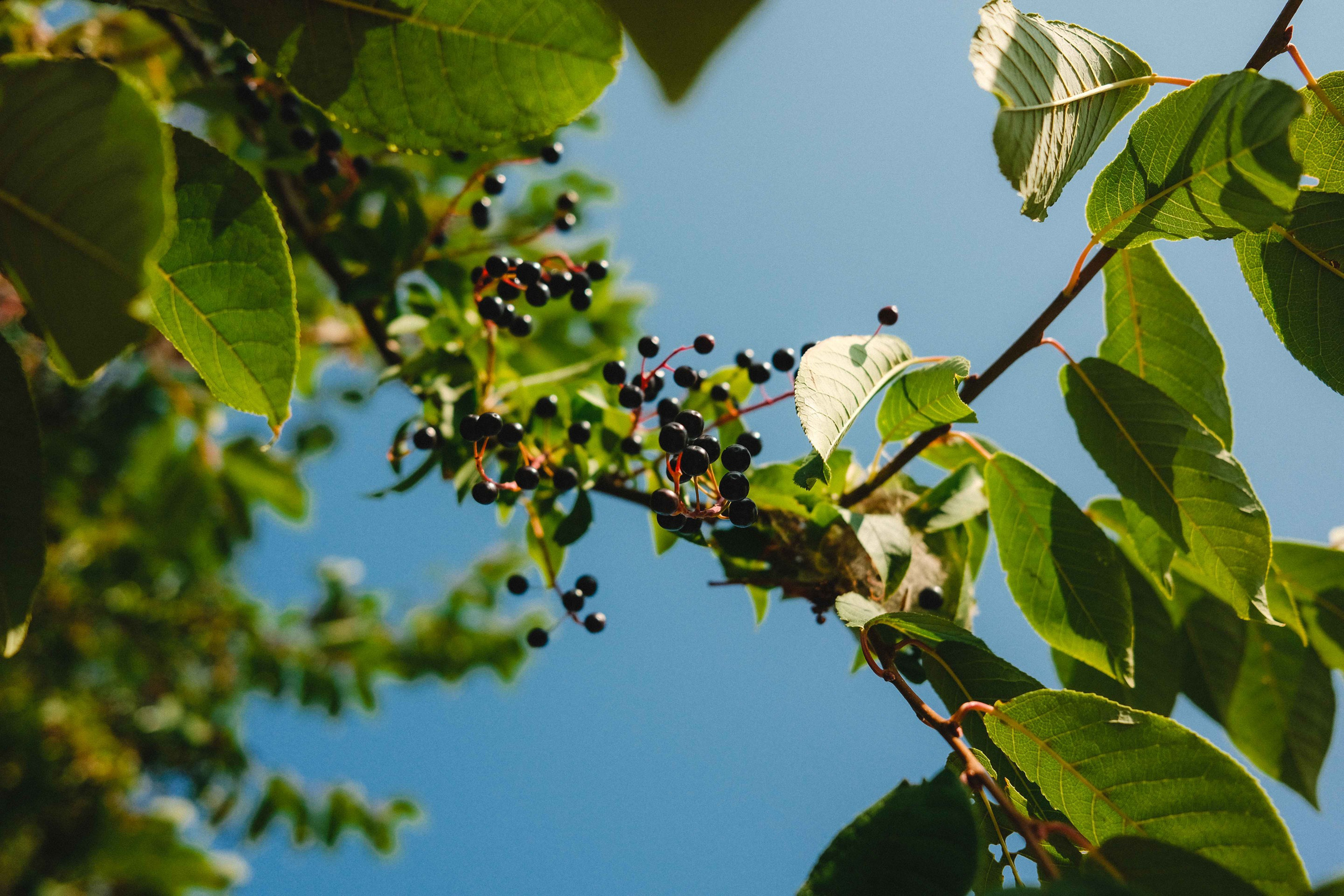 2023.07. Фотограф Алексей Алексеев