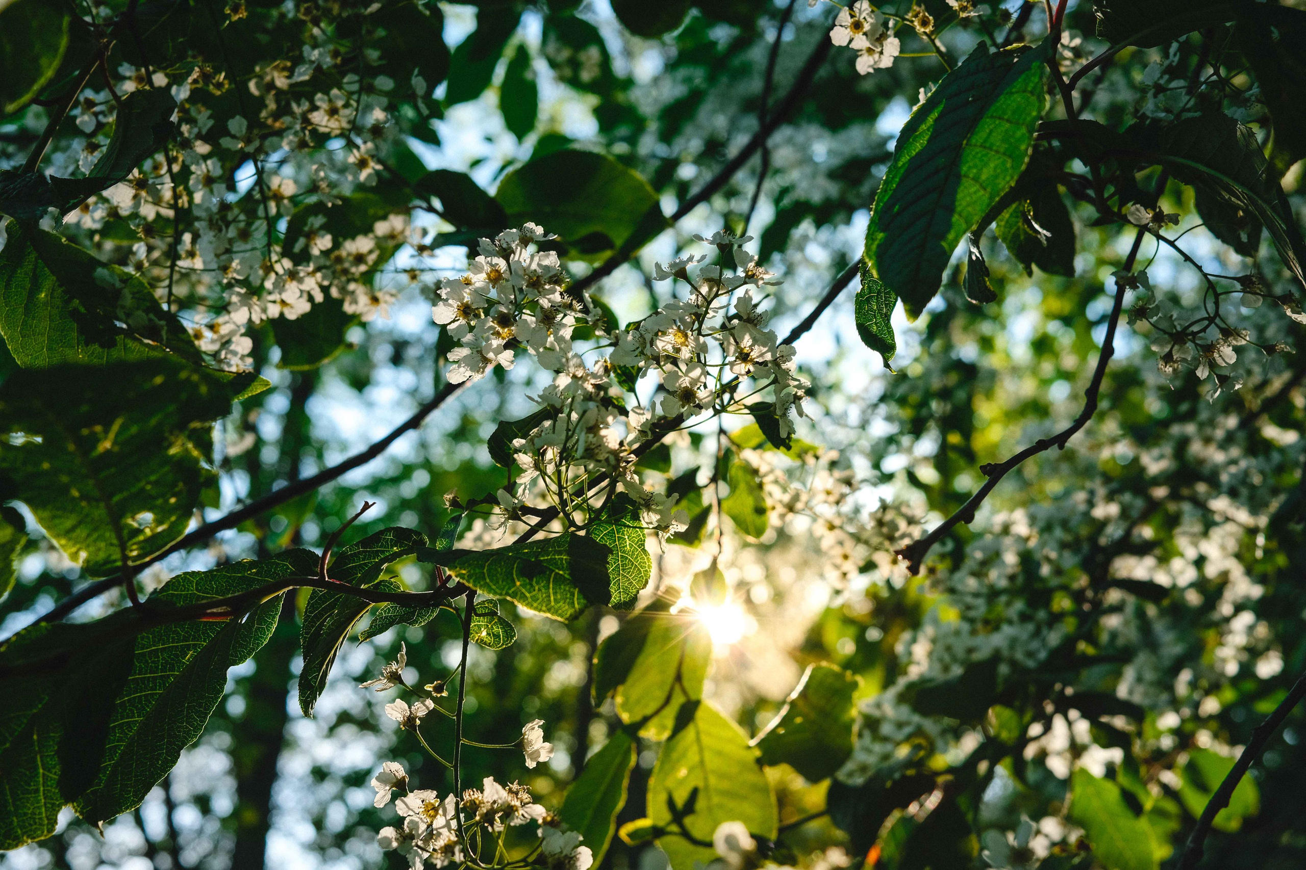 2023.05. Фотограф Алексей Алексеев