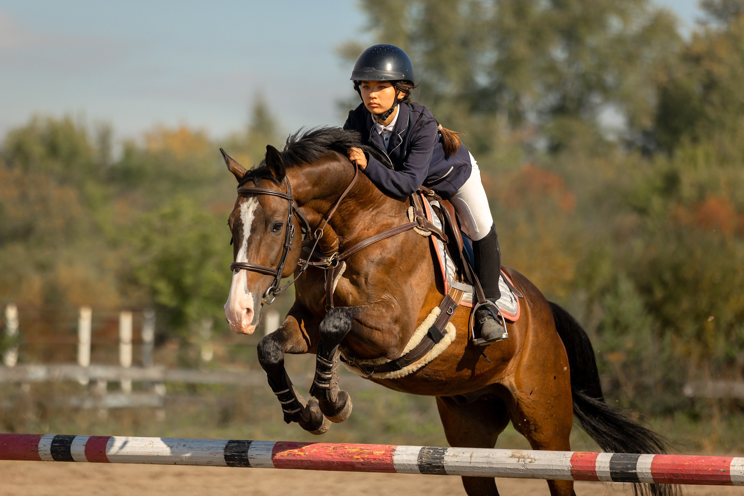Соревнования по конному спорту. Конный фотограф Валынкина Лера