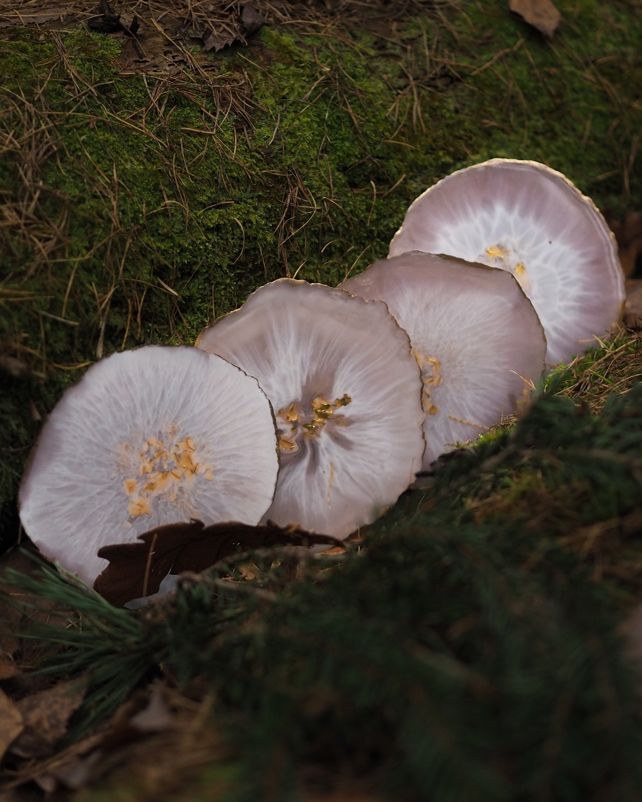 Изделия из эпоксидной смолы