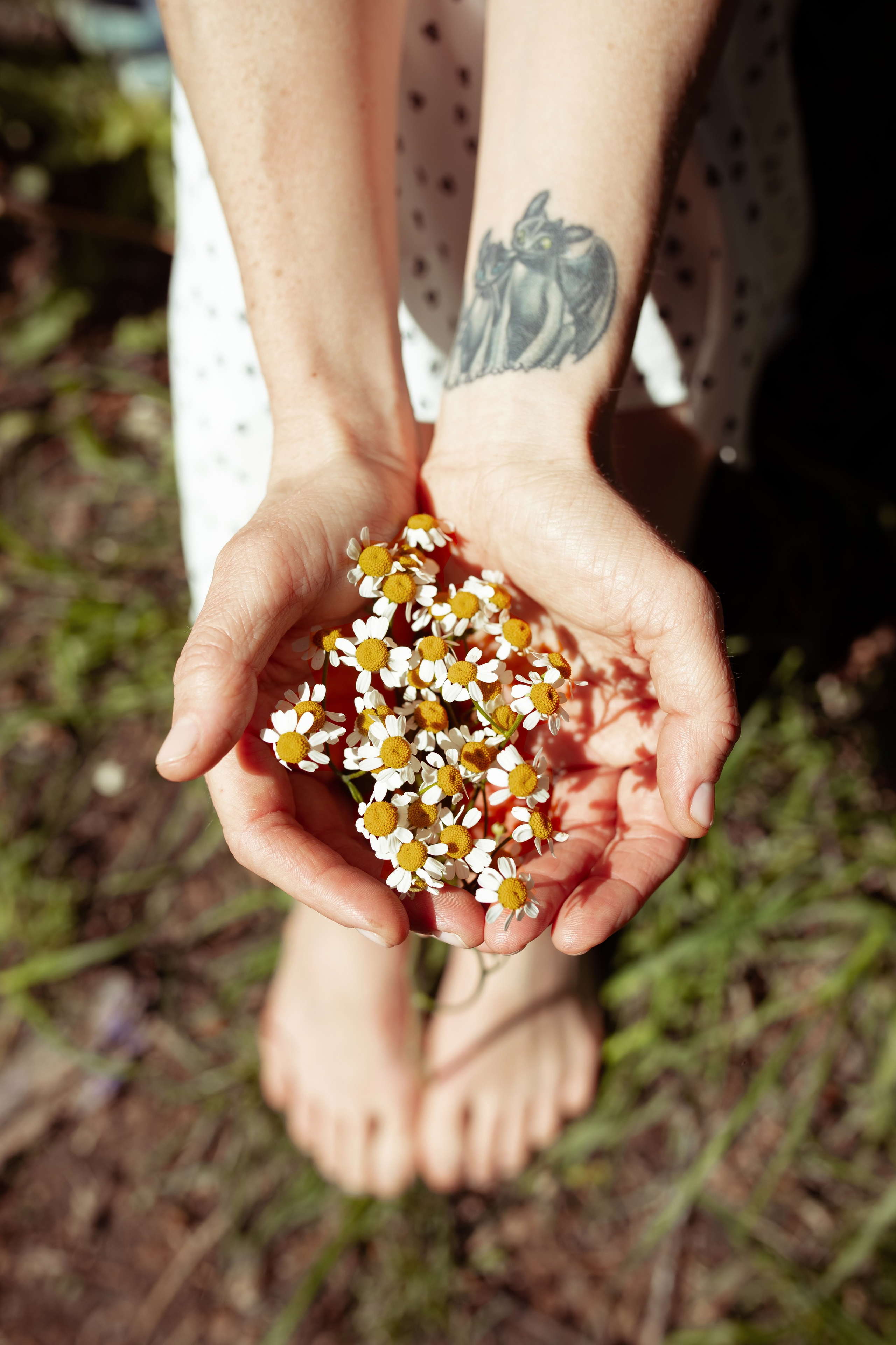 Александра. Семейный и детский фотограф в Москве Дорогова Екатерина