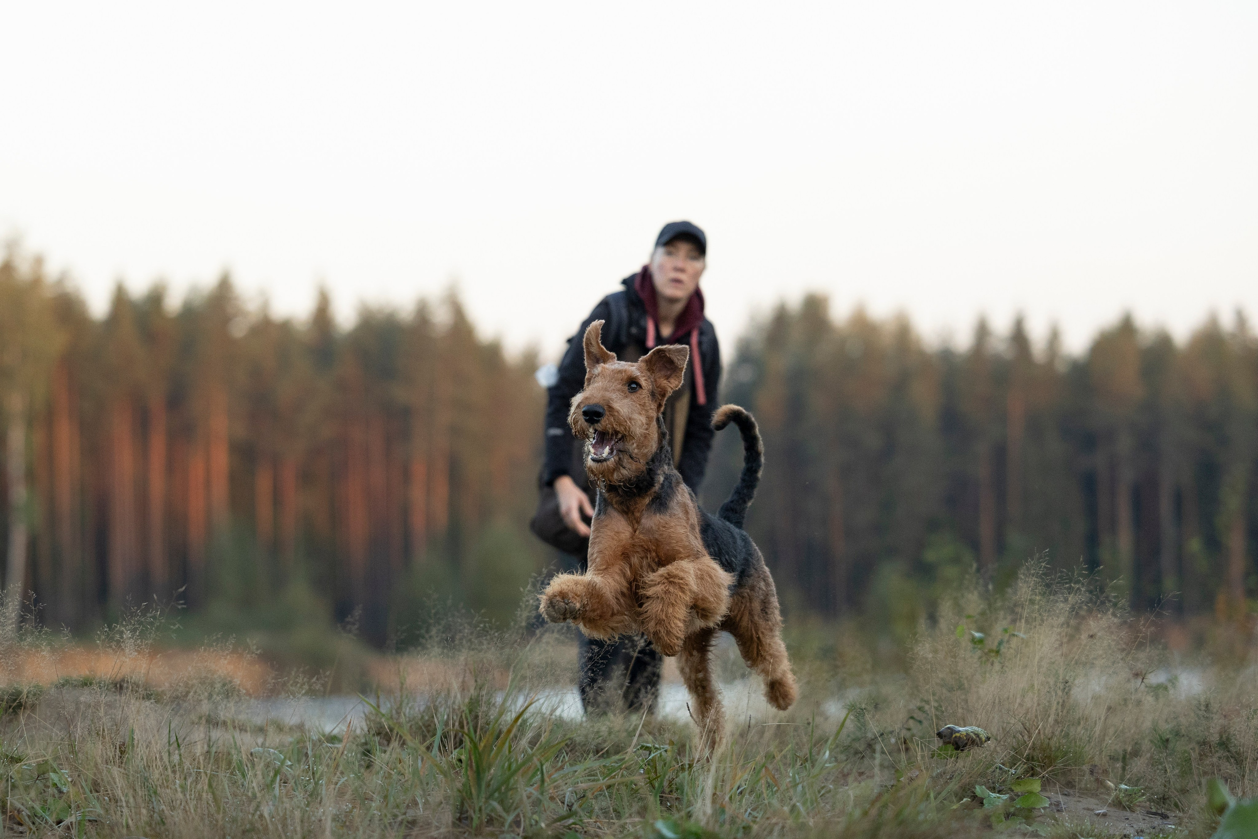 Харди. Фотограф-анималист Анна Маринич