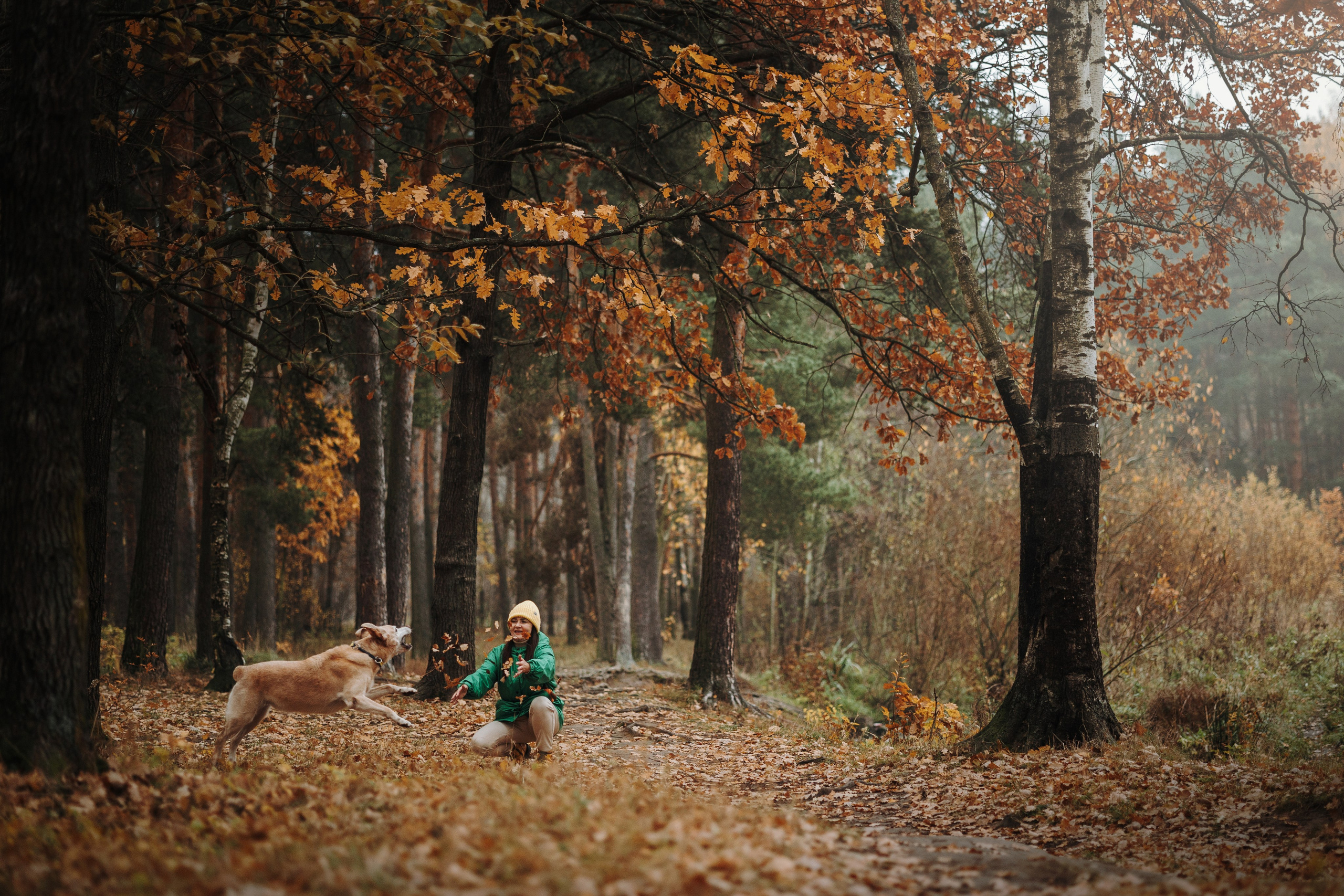 Оксана и Барон. Фотограф — Анималист | Санкт-Петербург