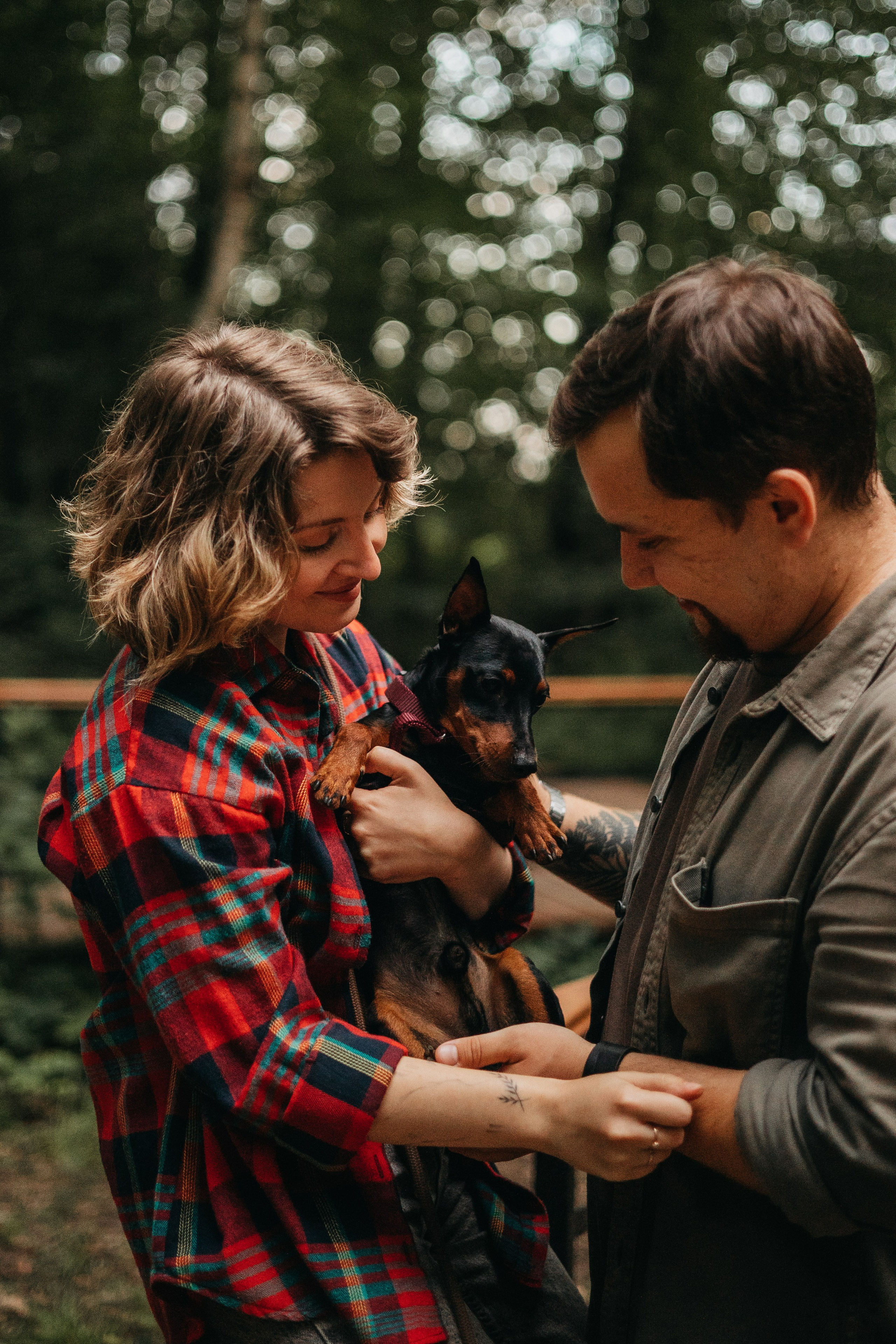 Сириус и его семья. Фотограф — Анималист | Санкт-Петербург