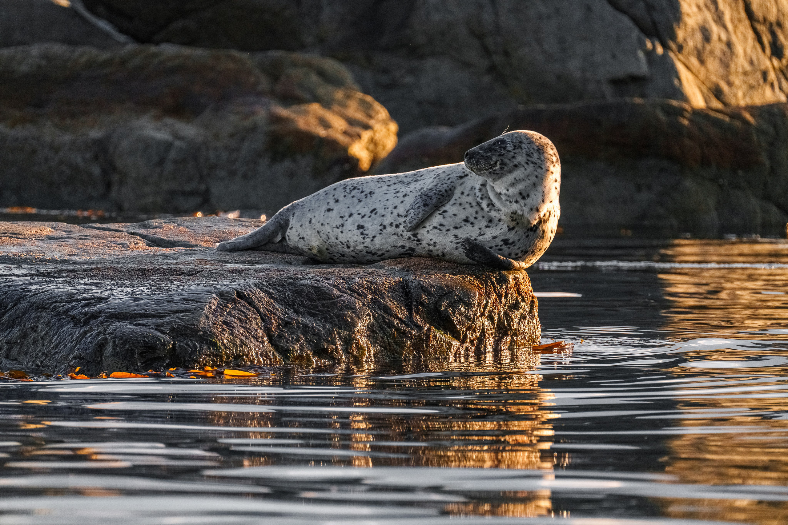Весеннее Приморье. Май