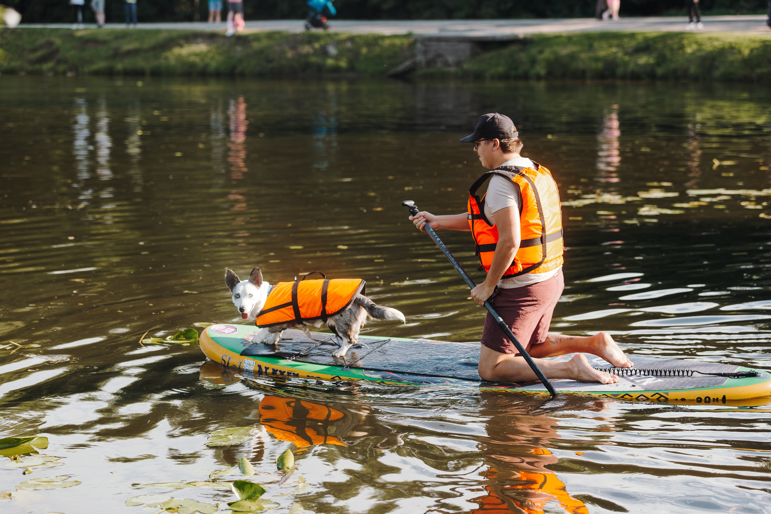 Petshop Sup day. Фотограф анималист Кристина Карпова, Москва