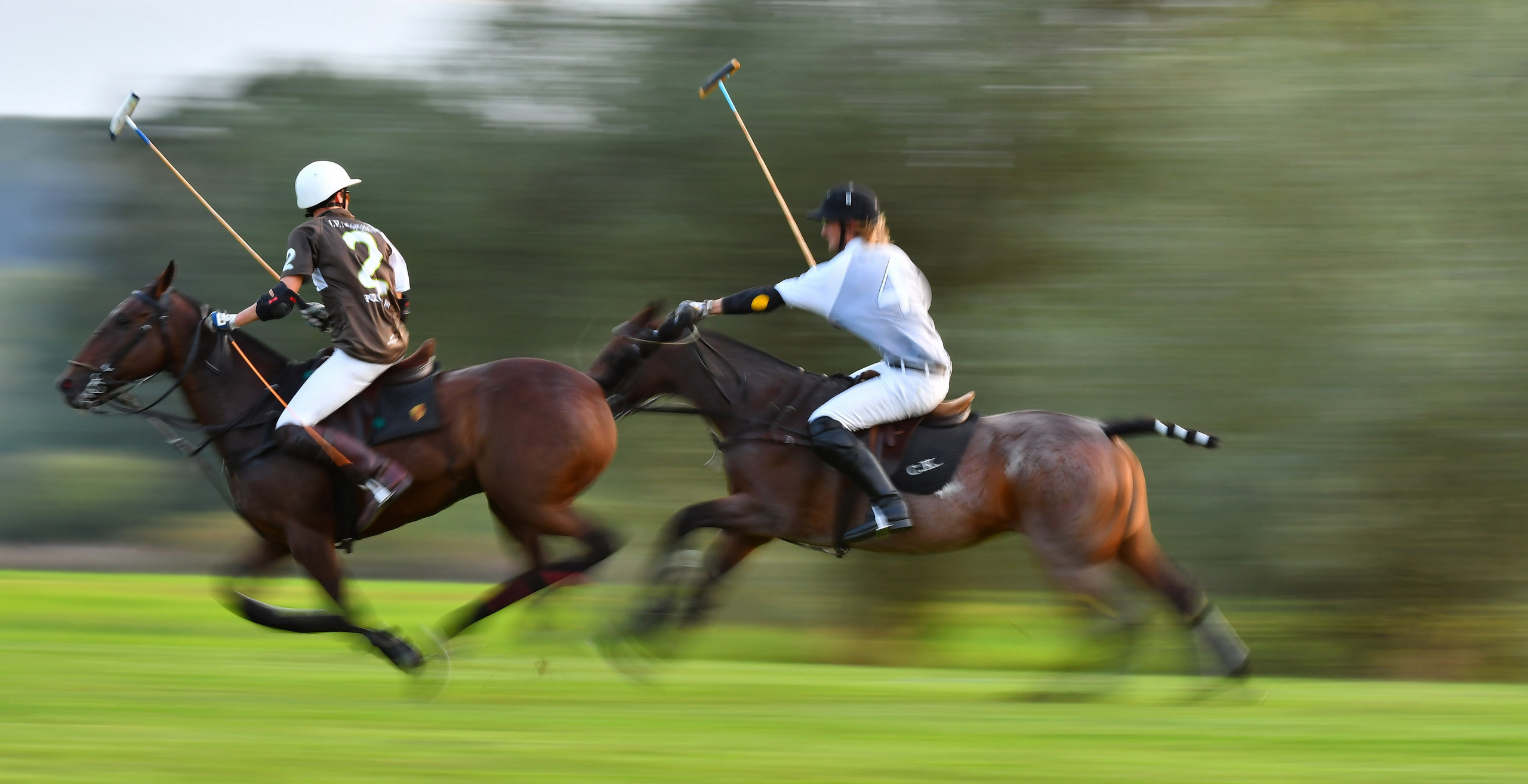 Polo art photos. Art photos of horses — ARTUR BABOEV | Photographer