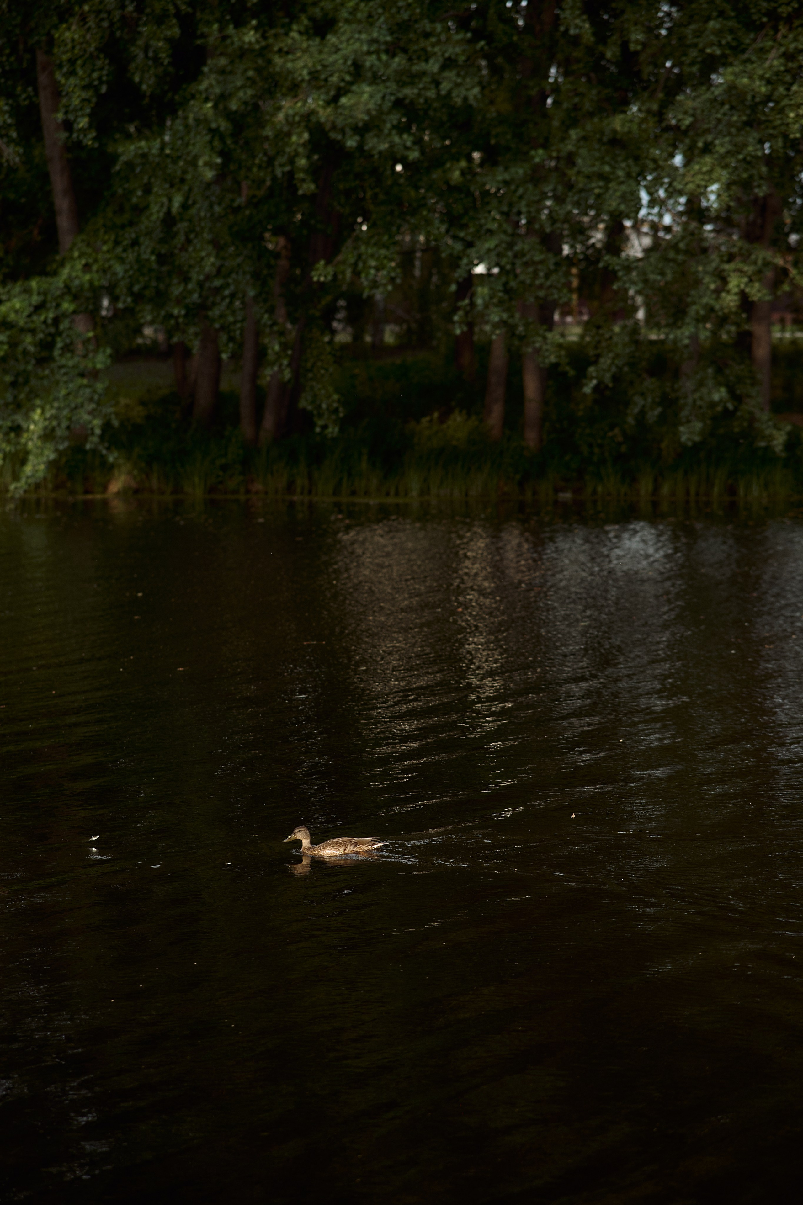 Ирина с детьми. Семейный и свадебный lifestyle-фотограф в Москве Мария Петрова
