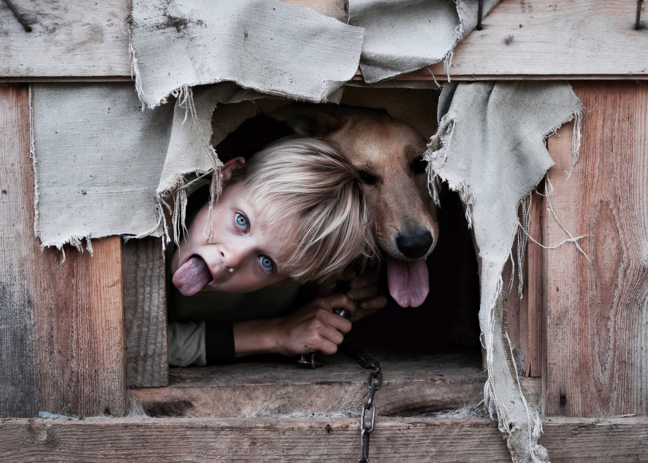 Портфолио. Фотограф в Москве