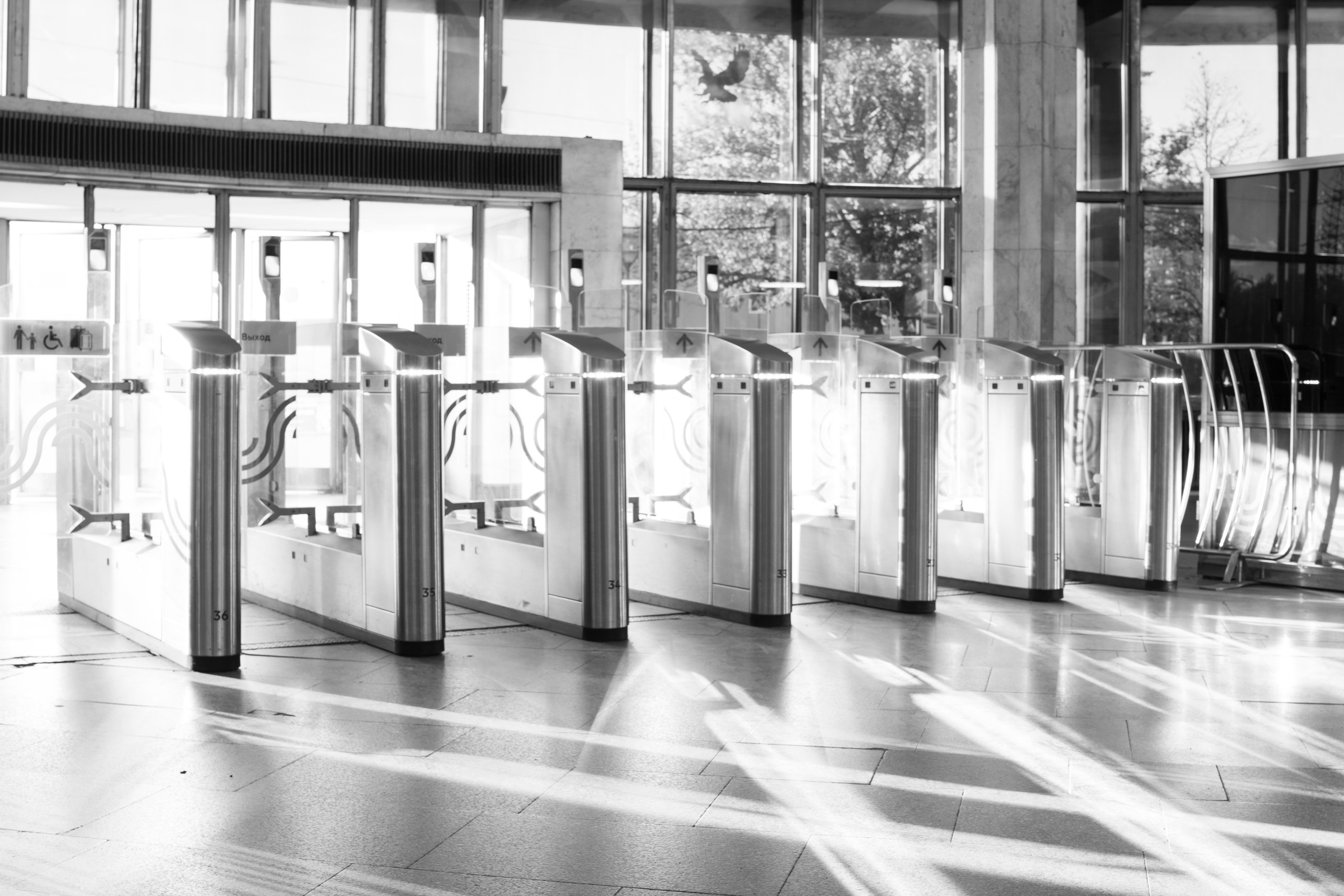 Разное неважное. Фотограф в Москве Алейникова Евгения