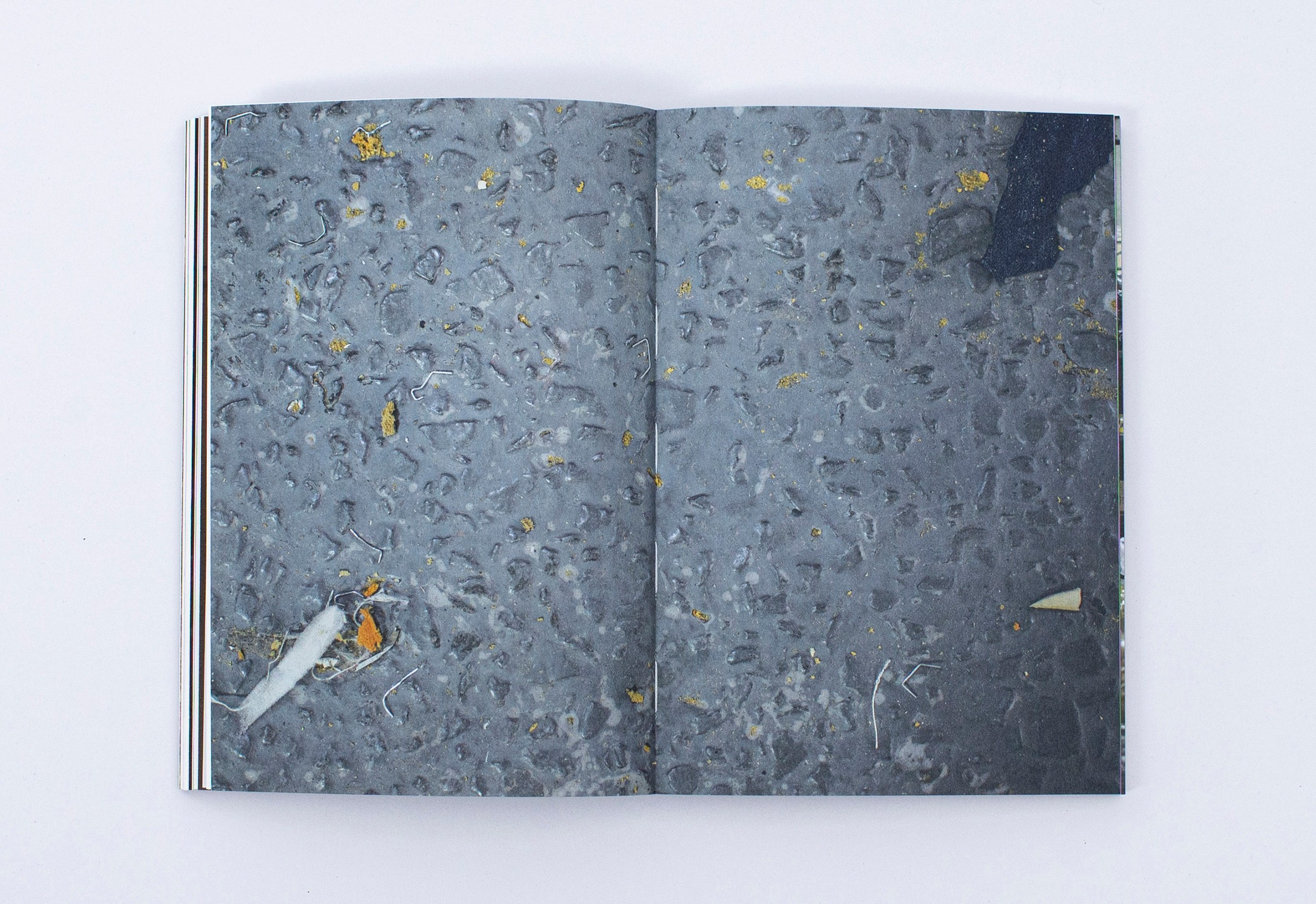 Книга. Фотограф в Москве Алейникова Евгения