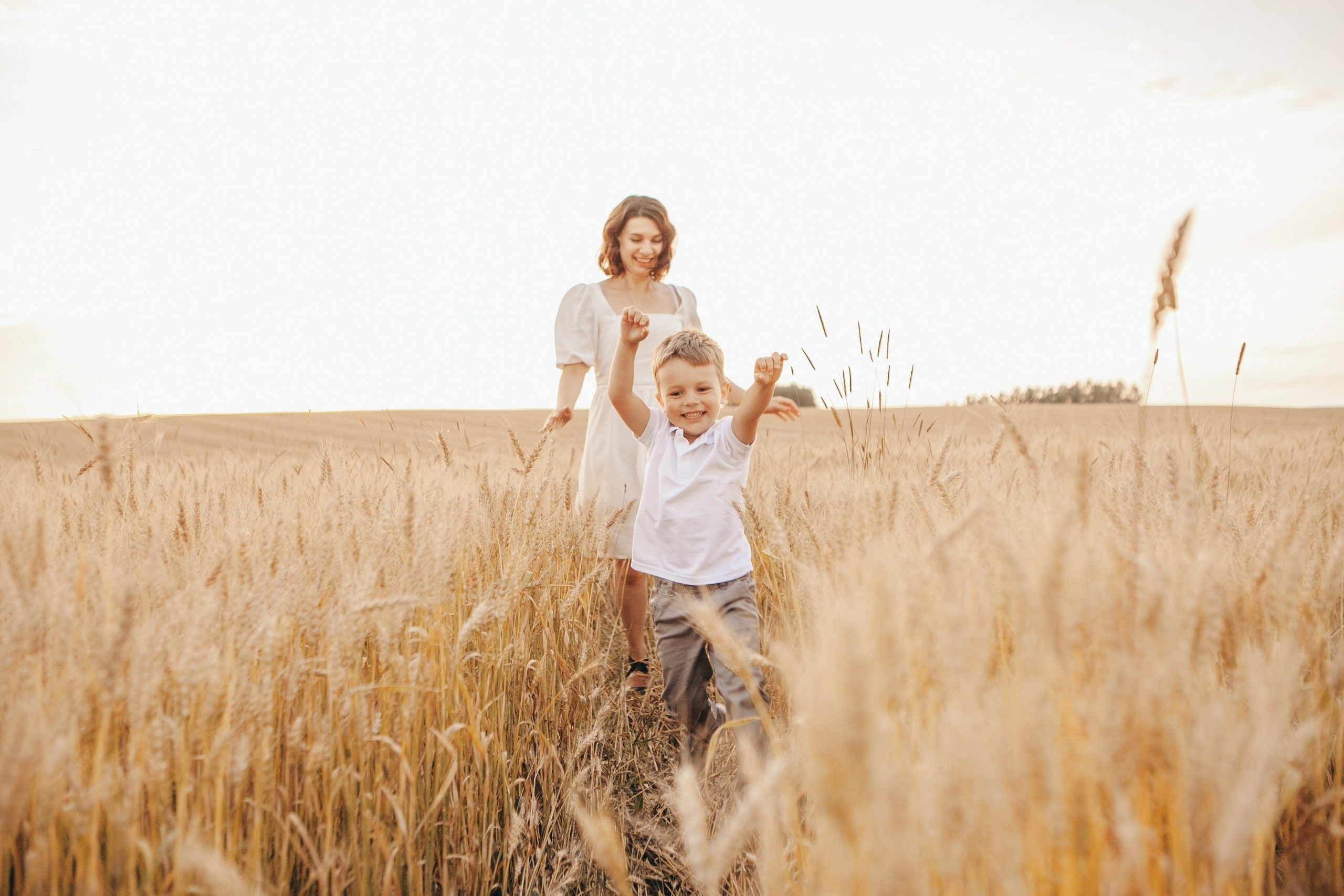 Семейная фотосессия в поле на закате. Фотограф Ольга Ефремова